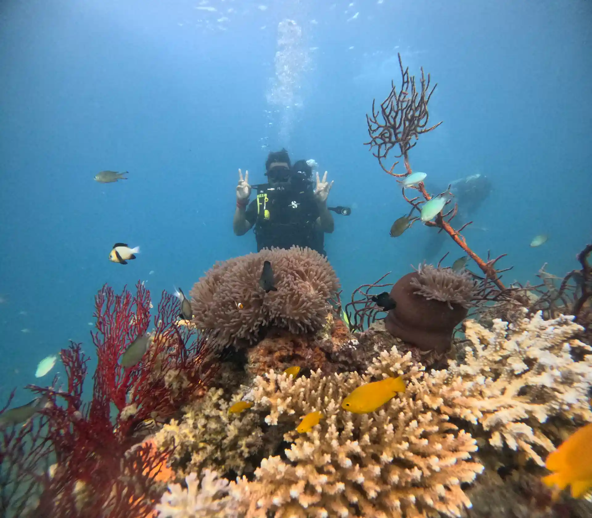 Dive shop photo
