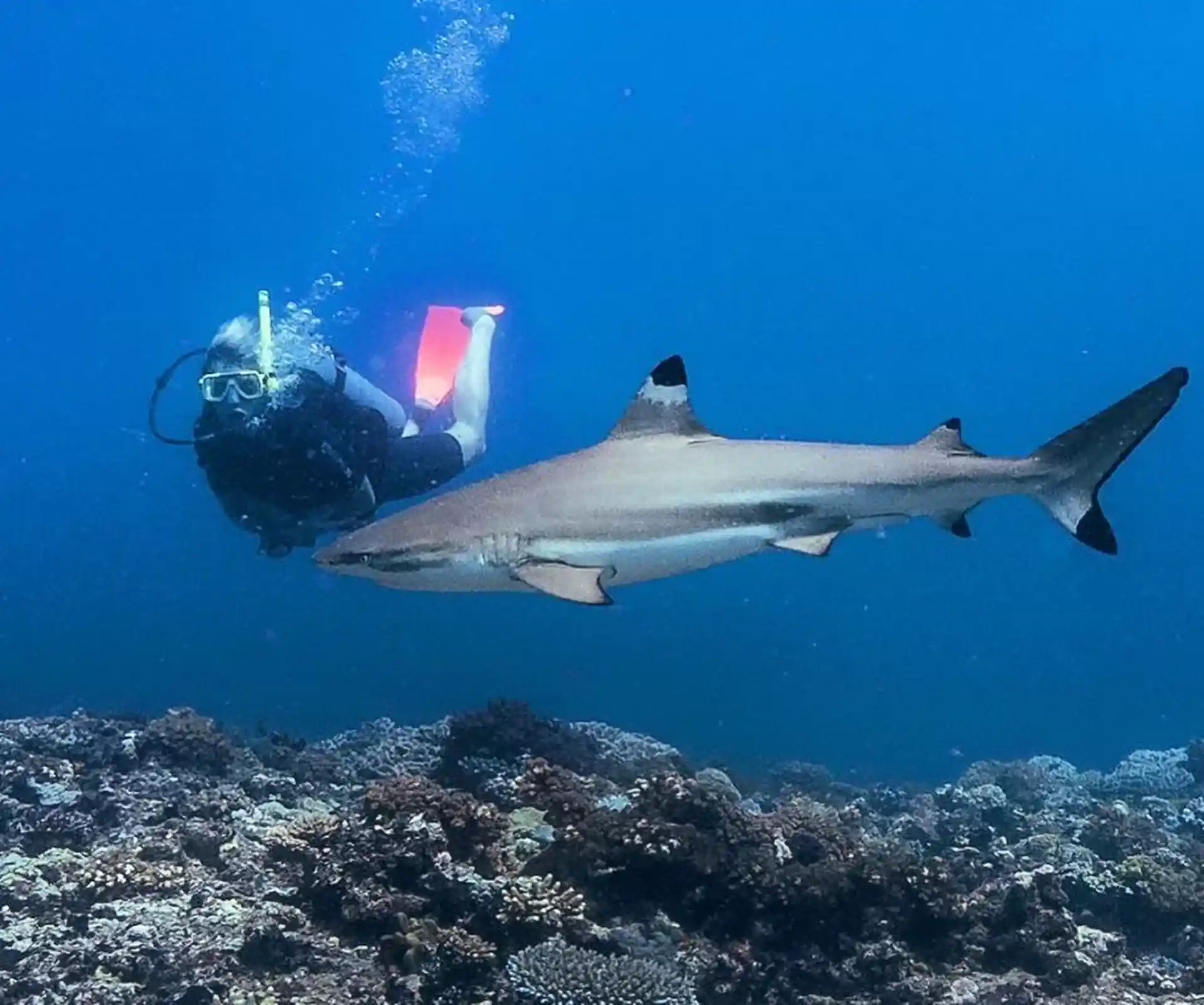 Dive shop photo