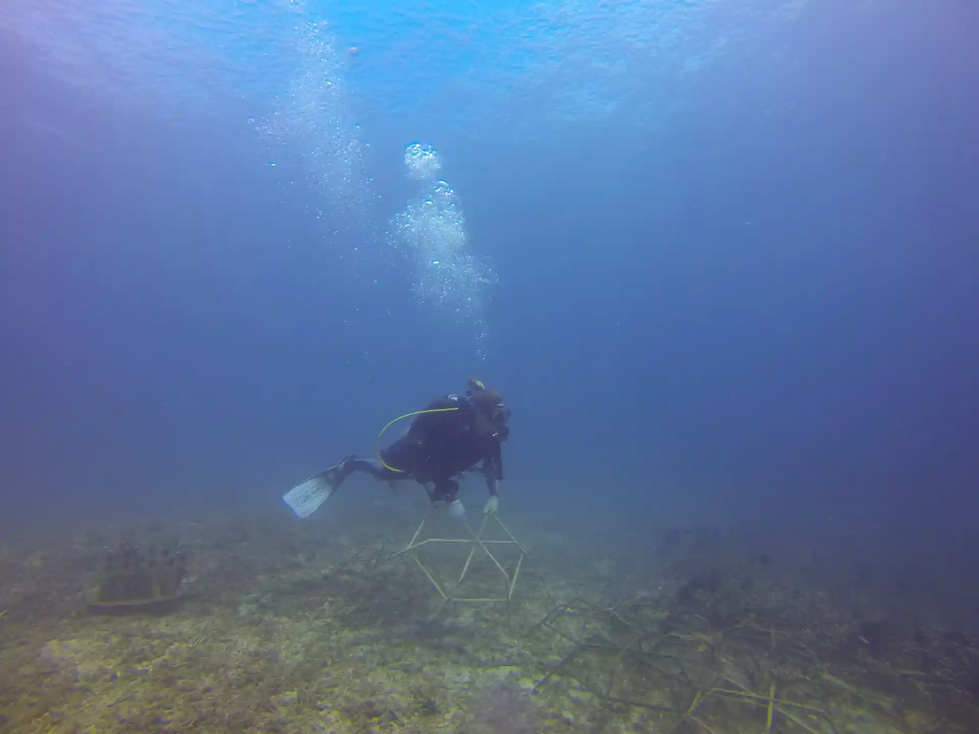 一位潛水員在運送礁星結構