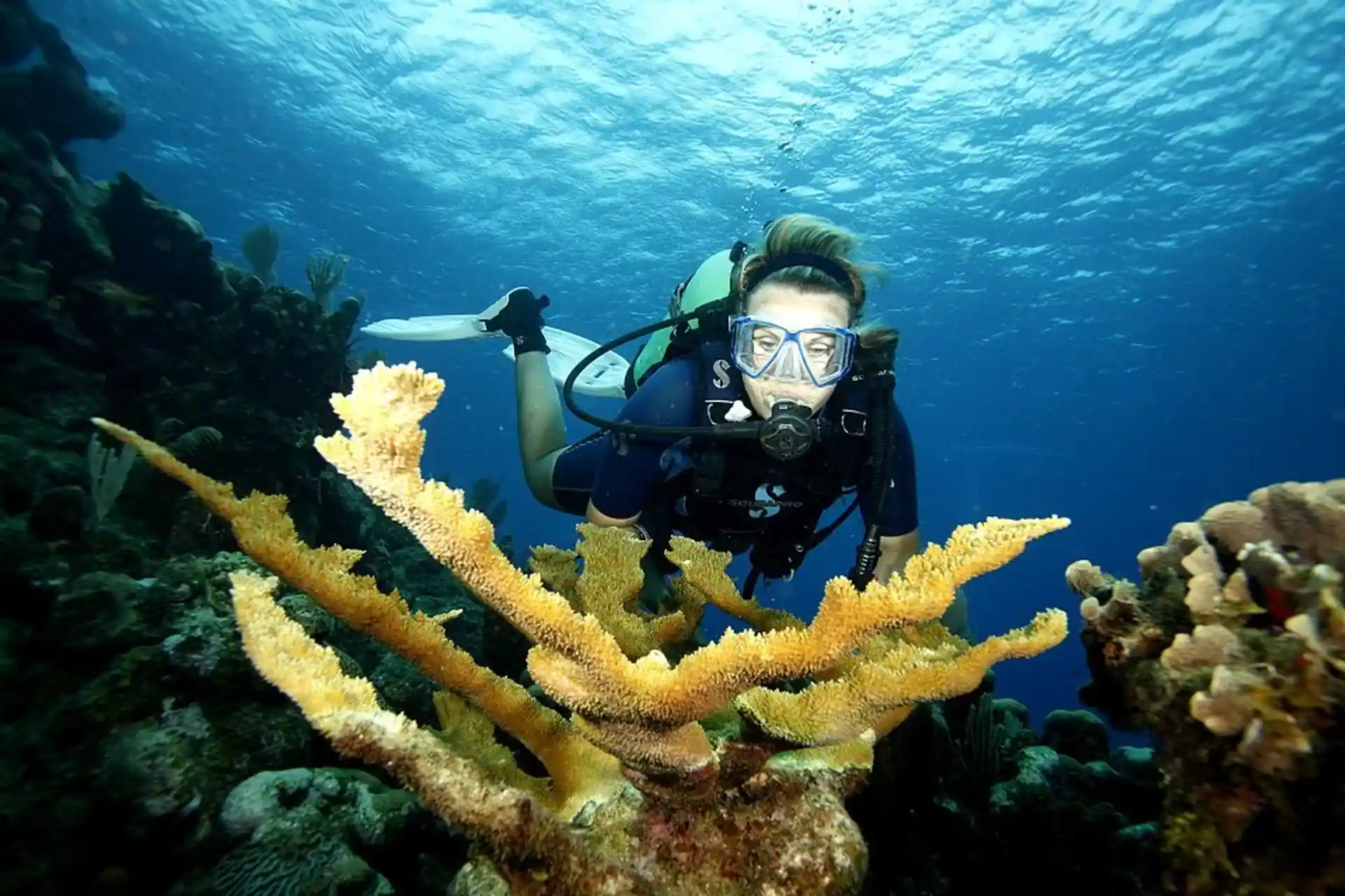 Dive shop photo