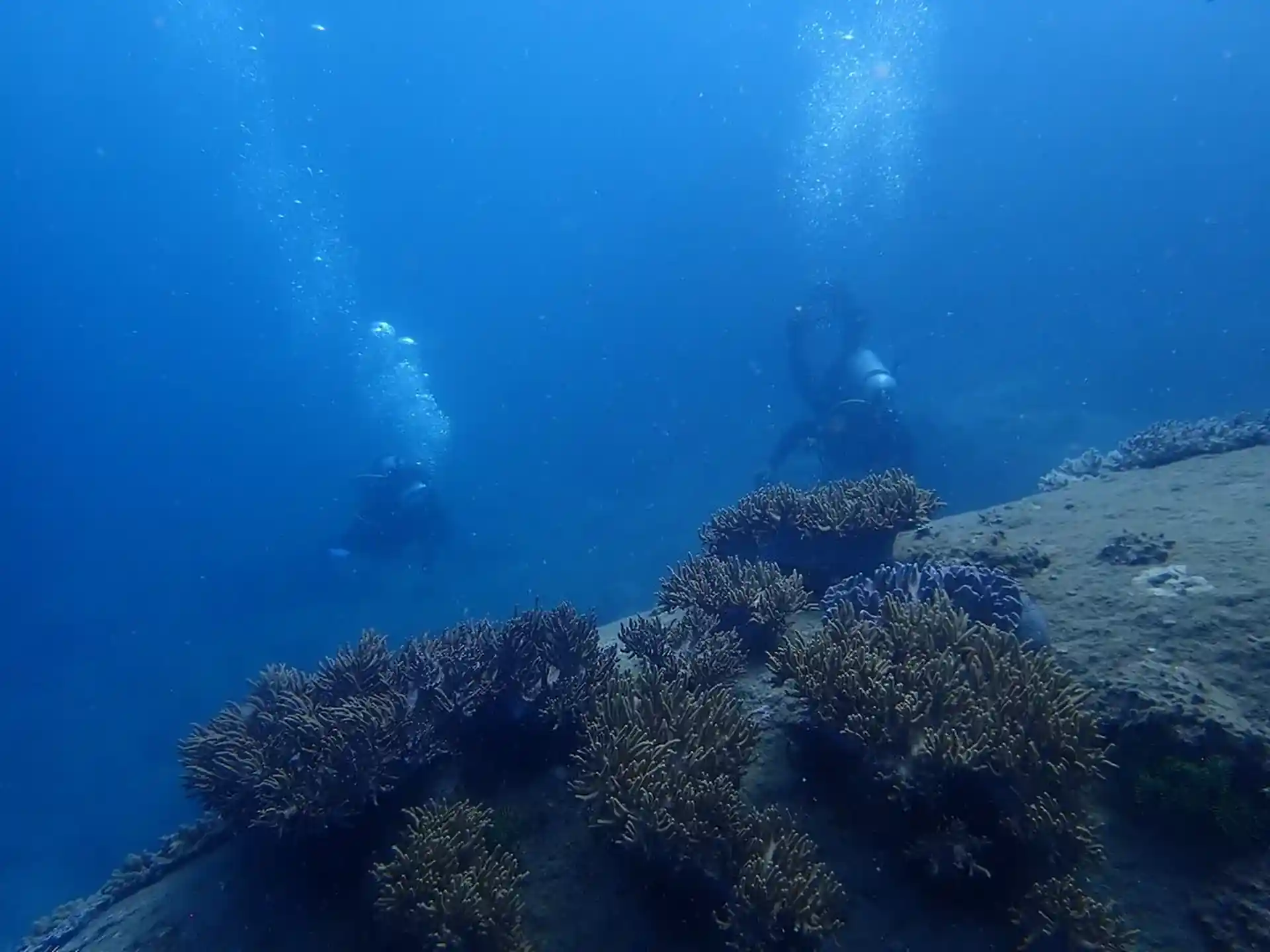 Dive site photo
