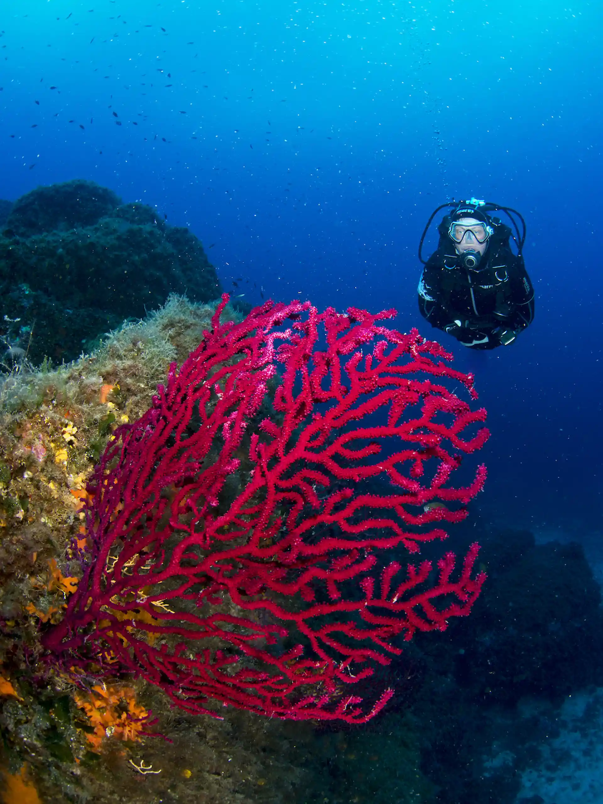 Foto des Tauchplatzes