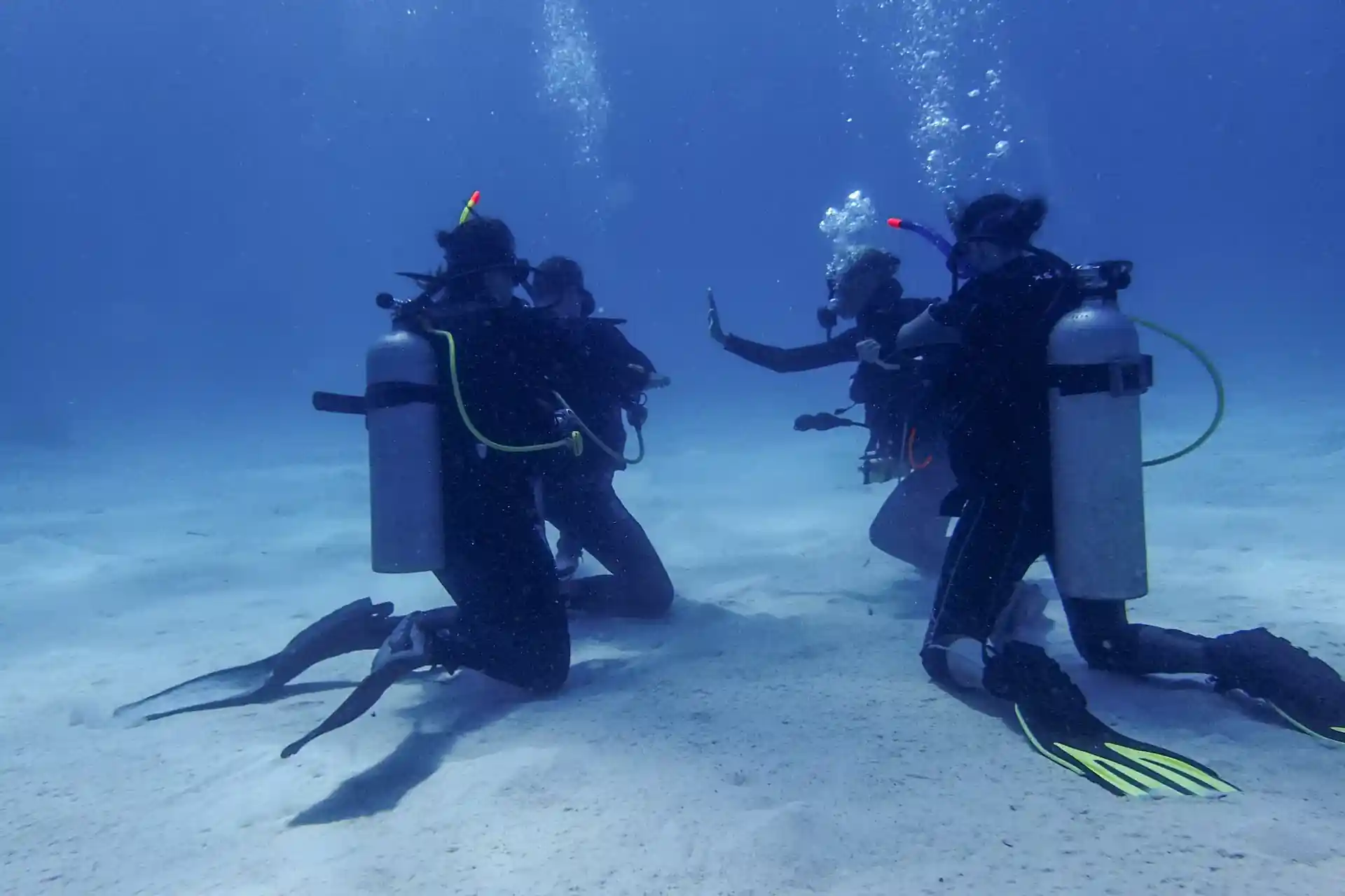 Dive shop photo