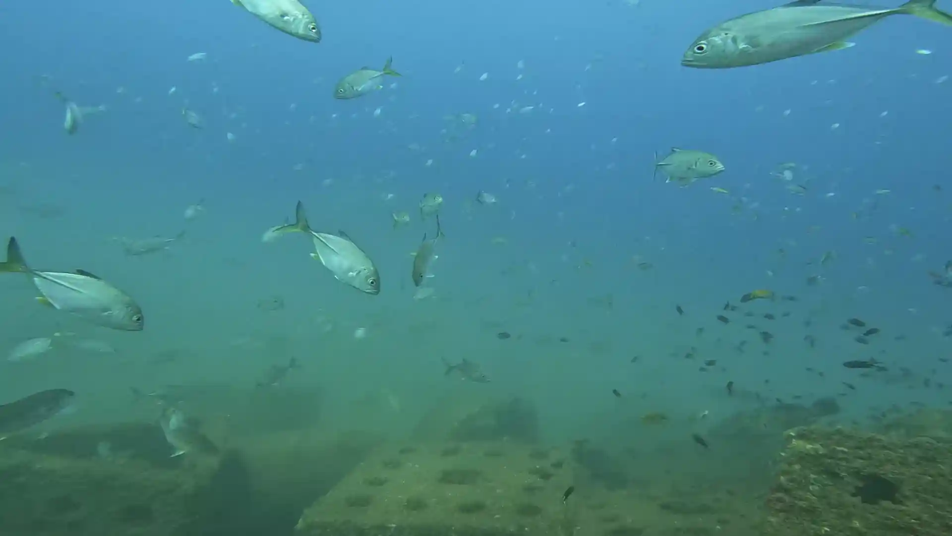 Dive site photo