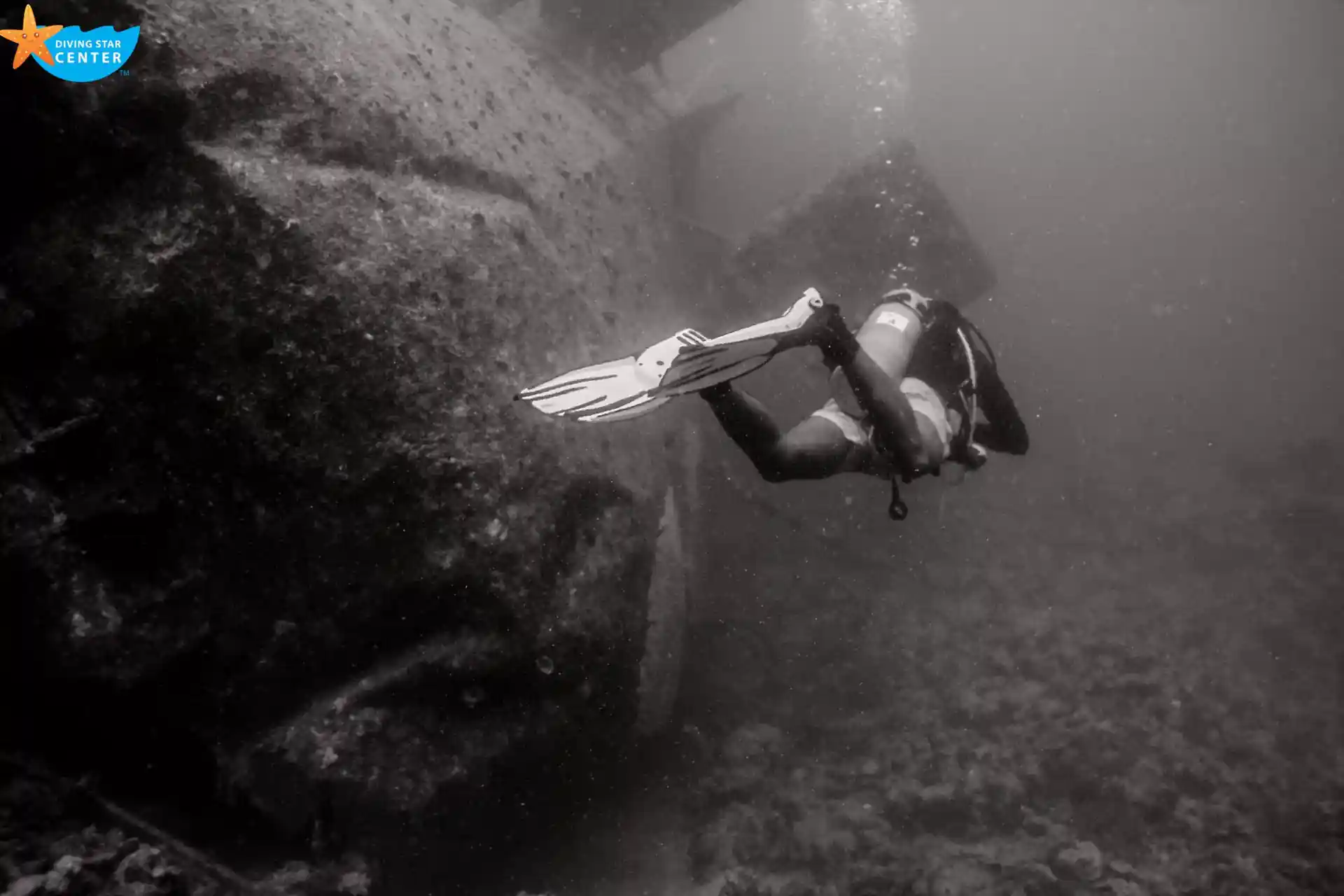 Daily dive at El-Mina Wreck