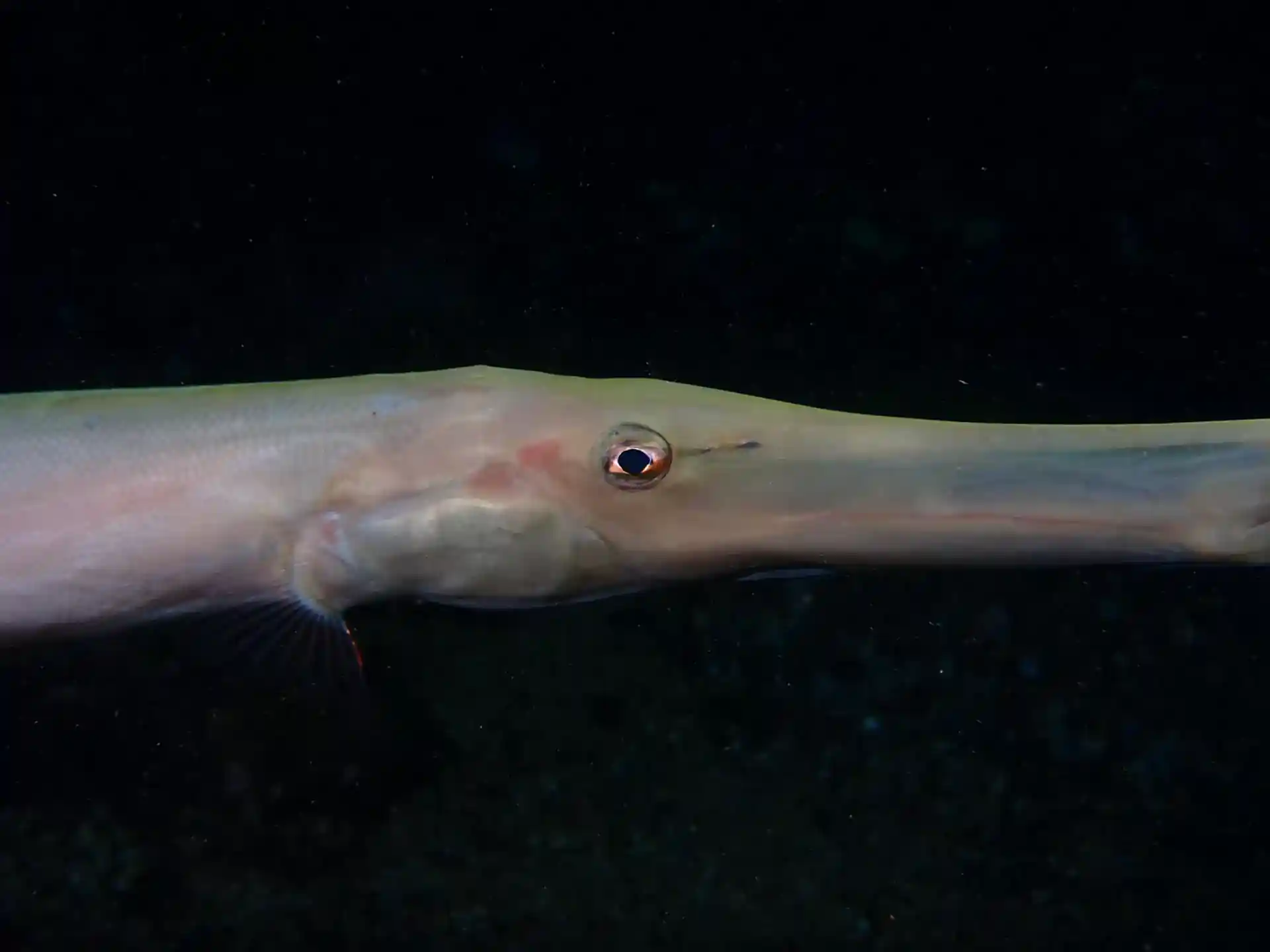 Foto de la actividad