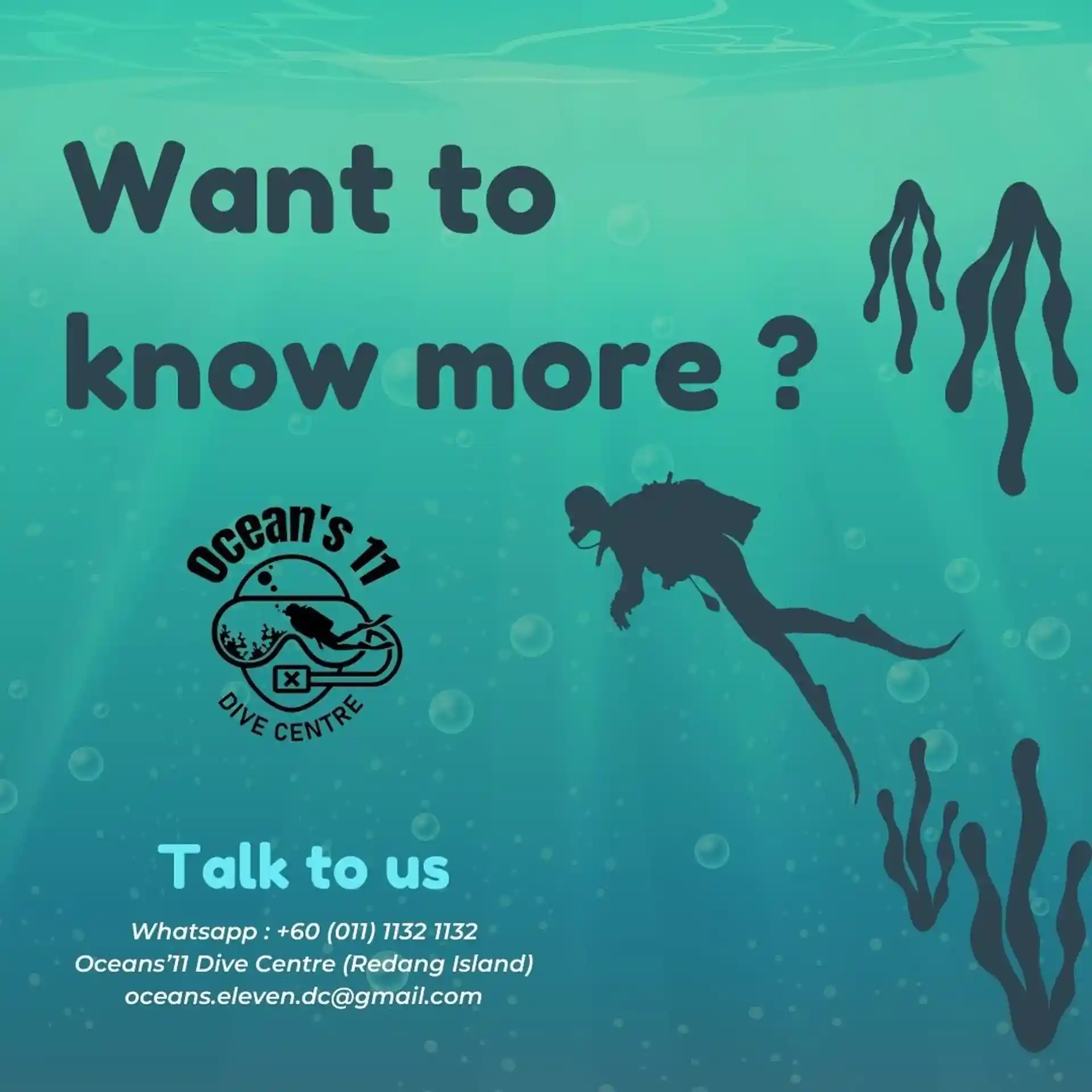 Dive shop photo