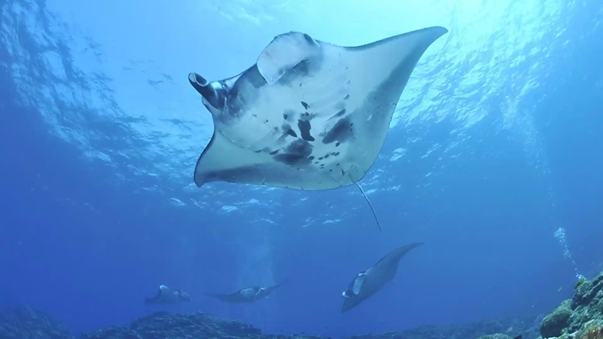 Dive shop photo
