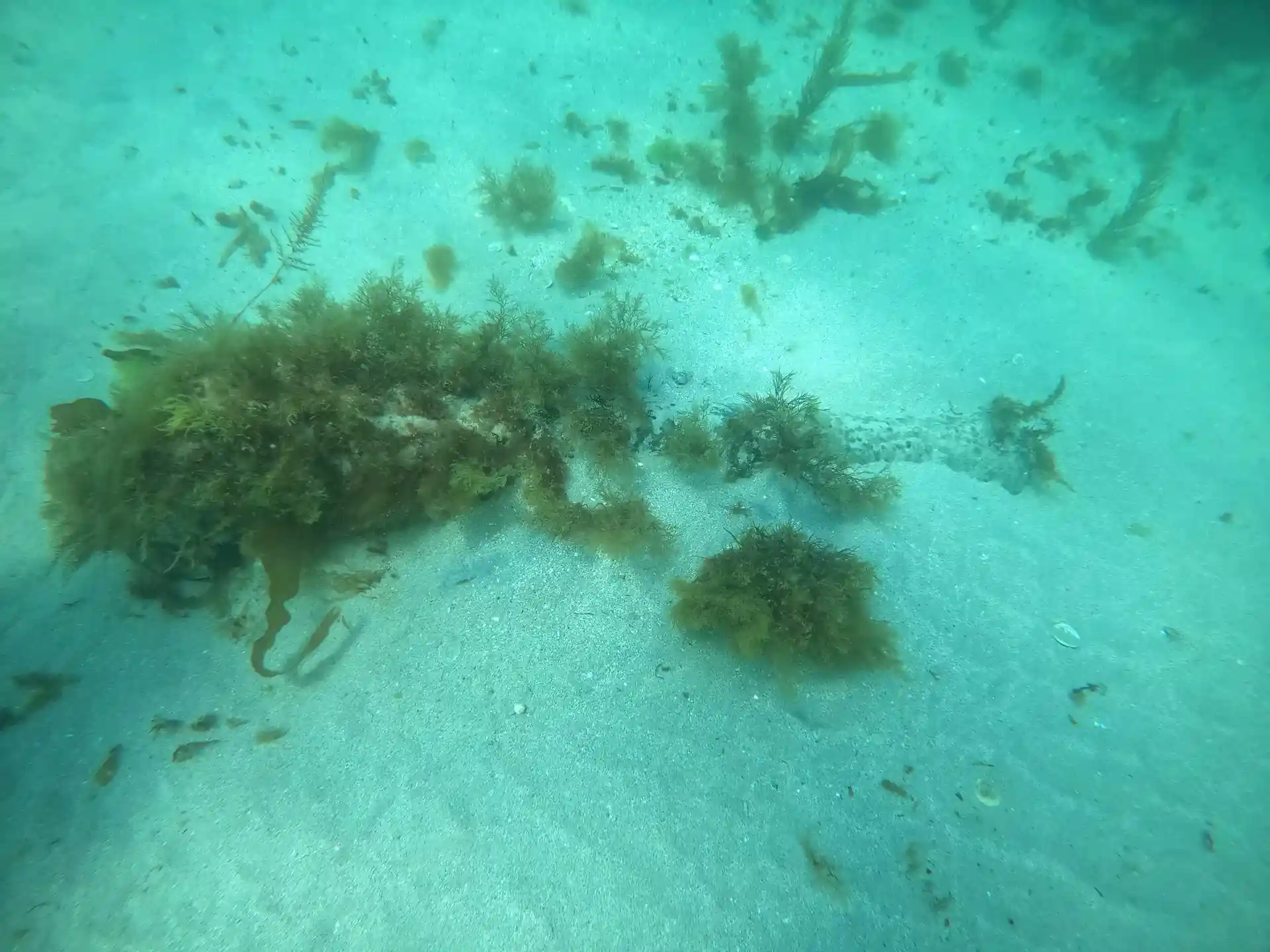 Photo du site de plongée