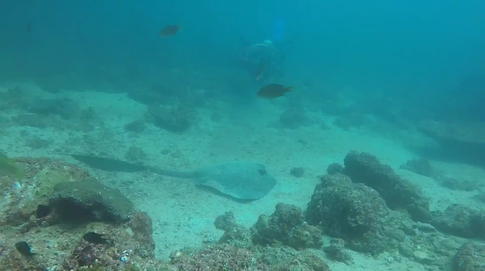 Dive site photo