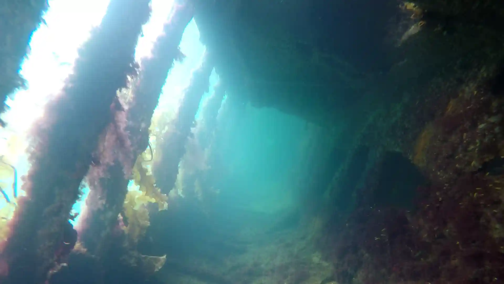 ダイビングサイトの写真