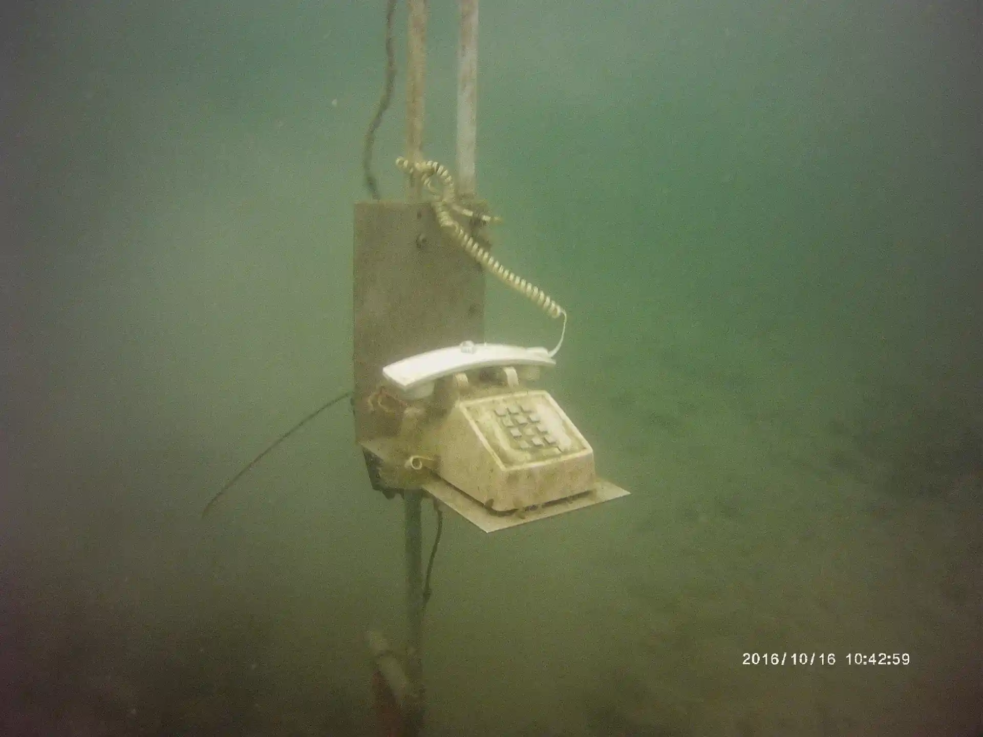 다이빙 포인트 사진