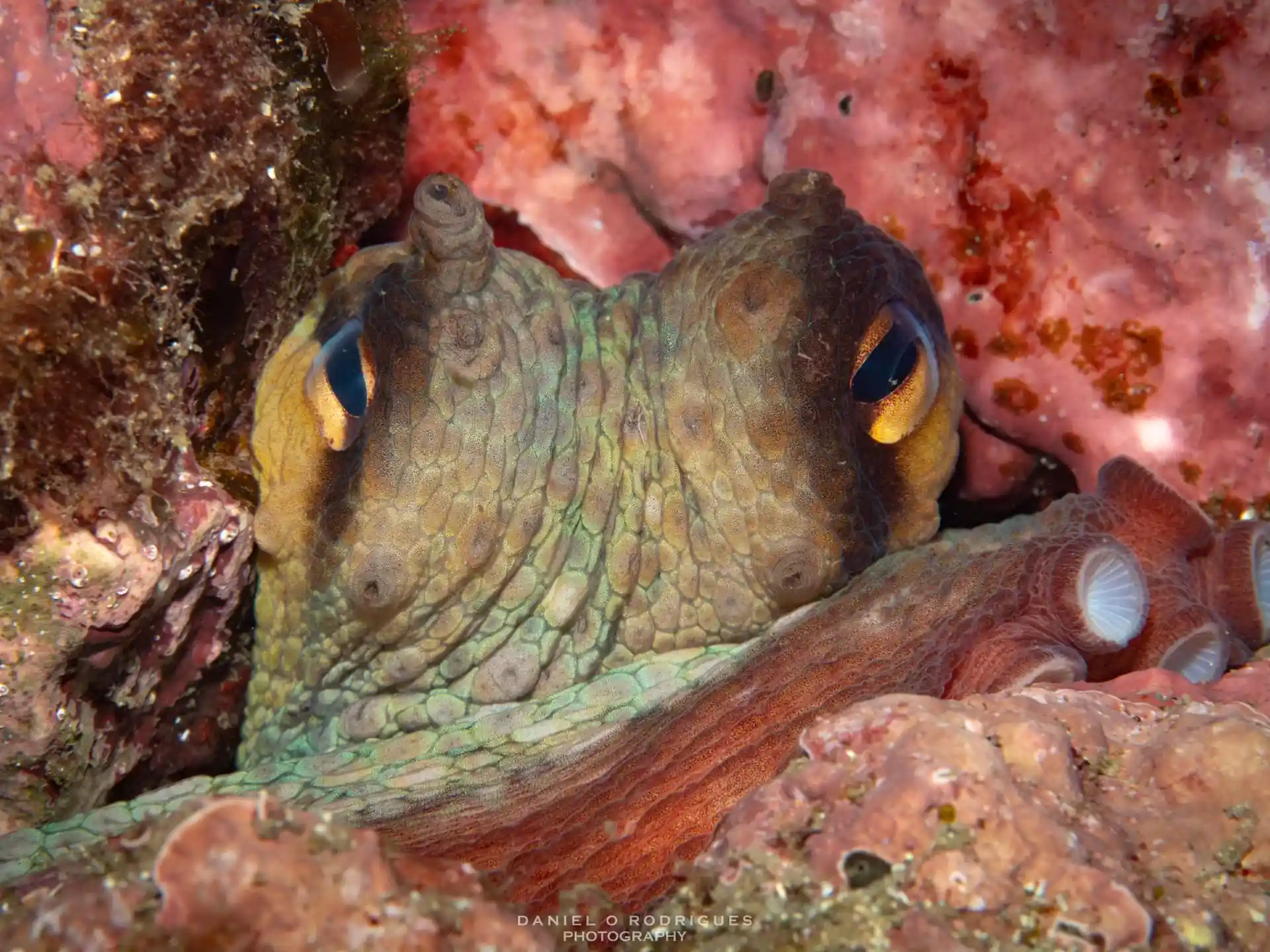 Dive site photo