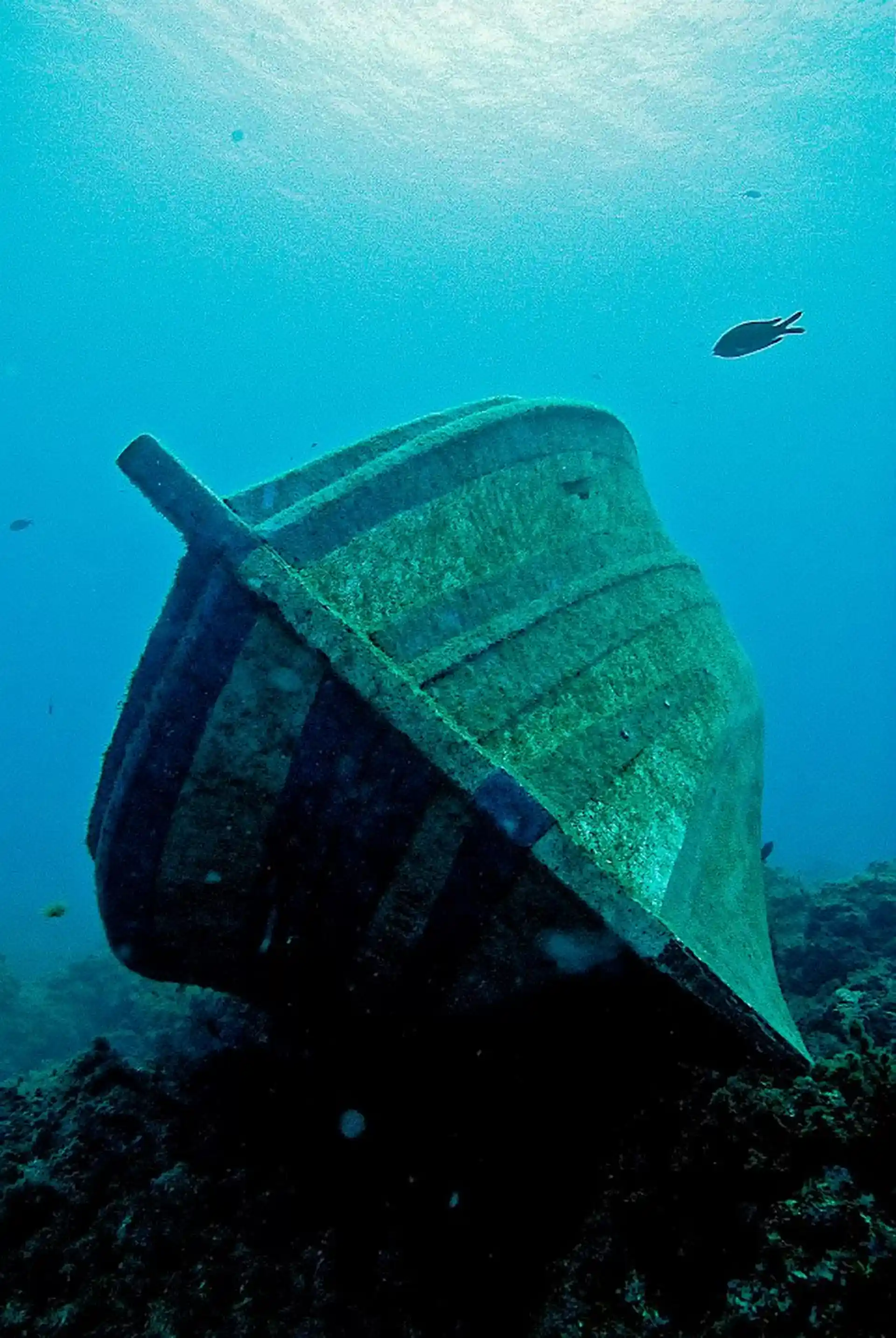 Dive site photo