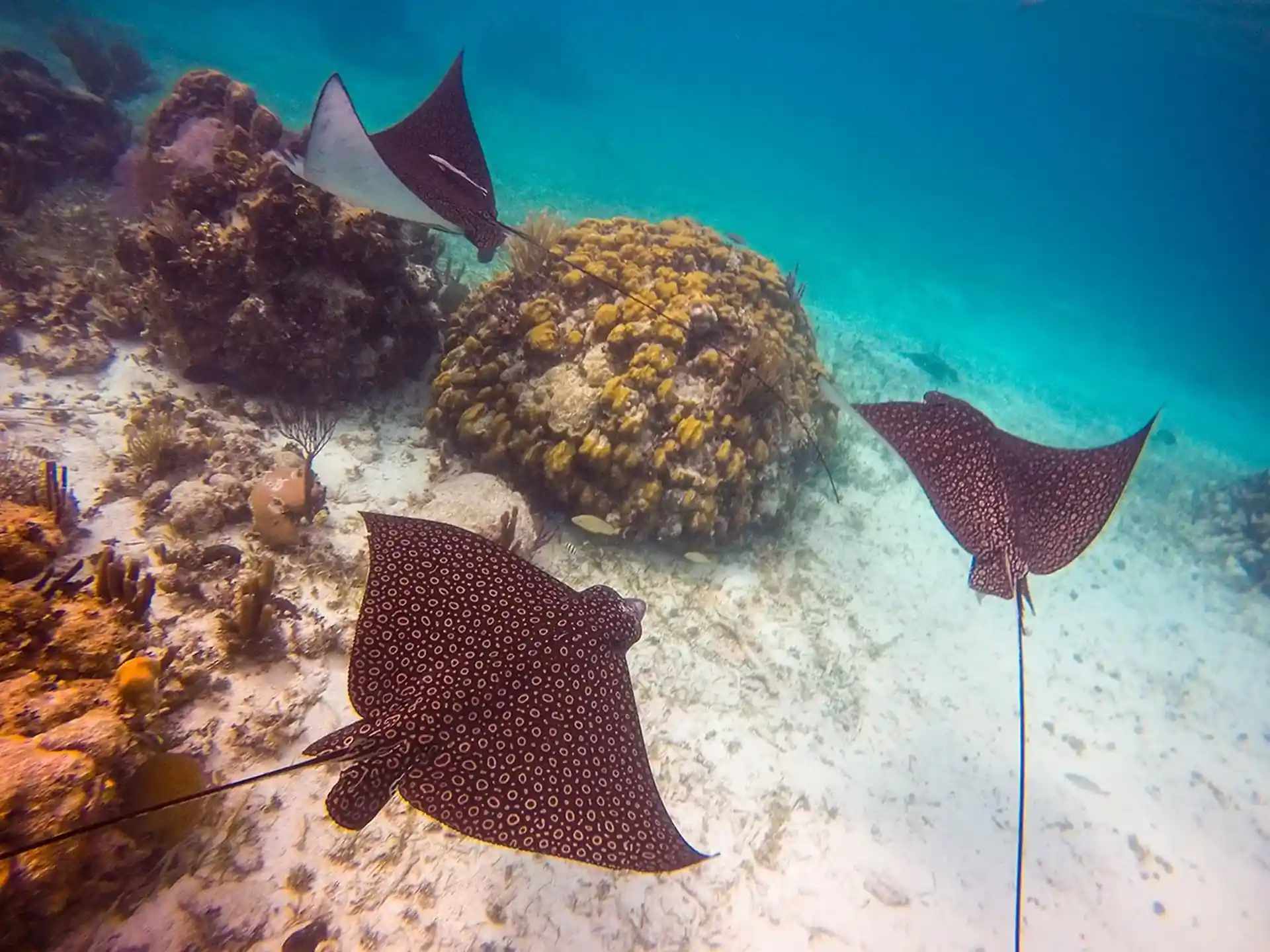 Dive shop photo