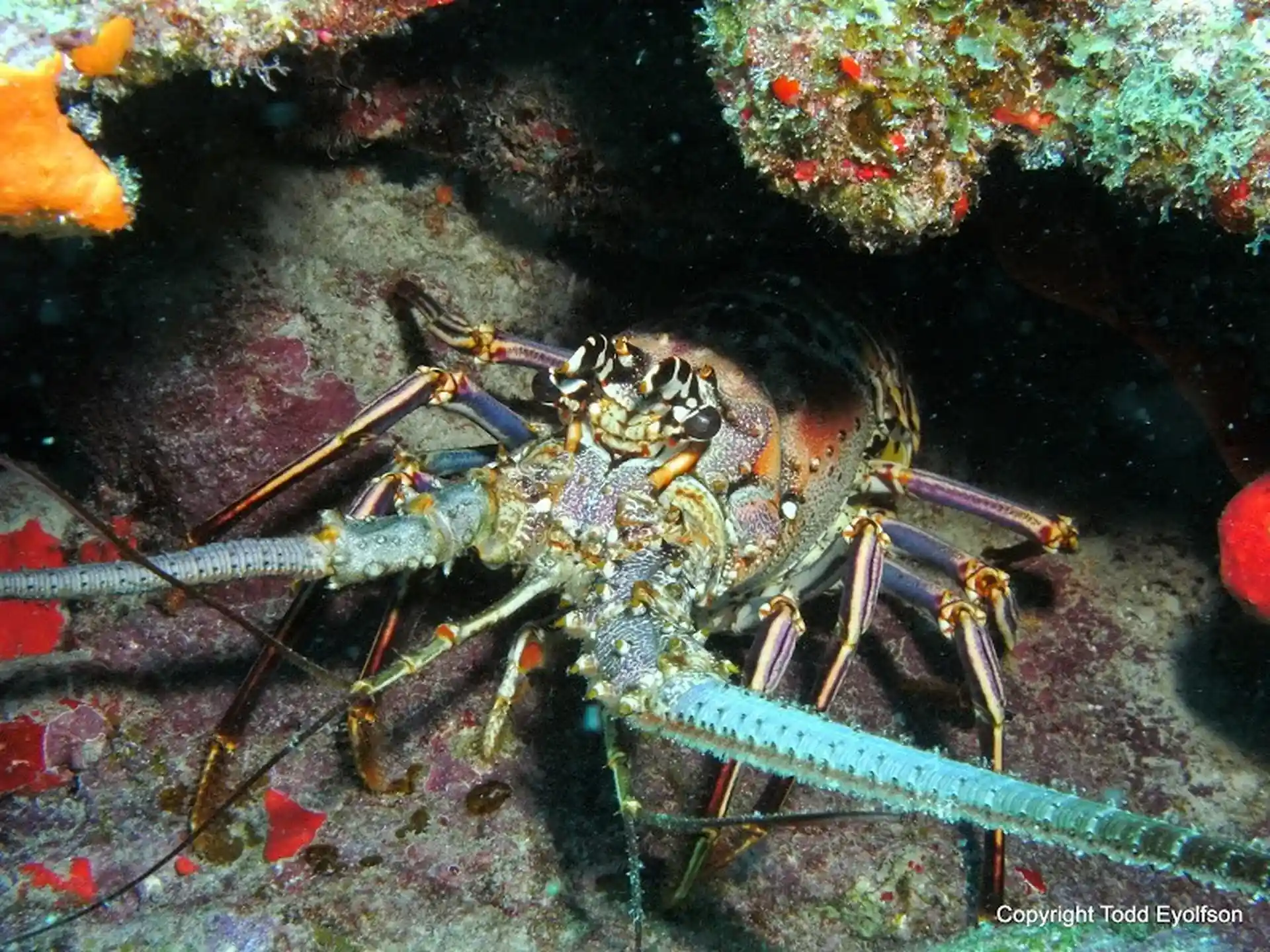 Photo de l'activité