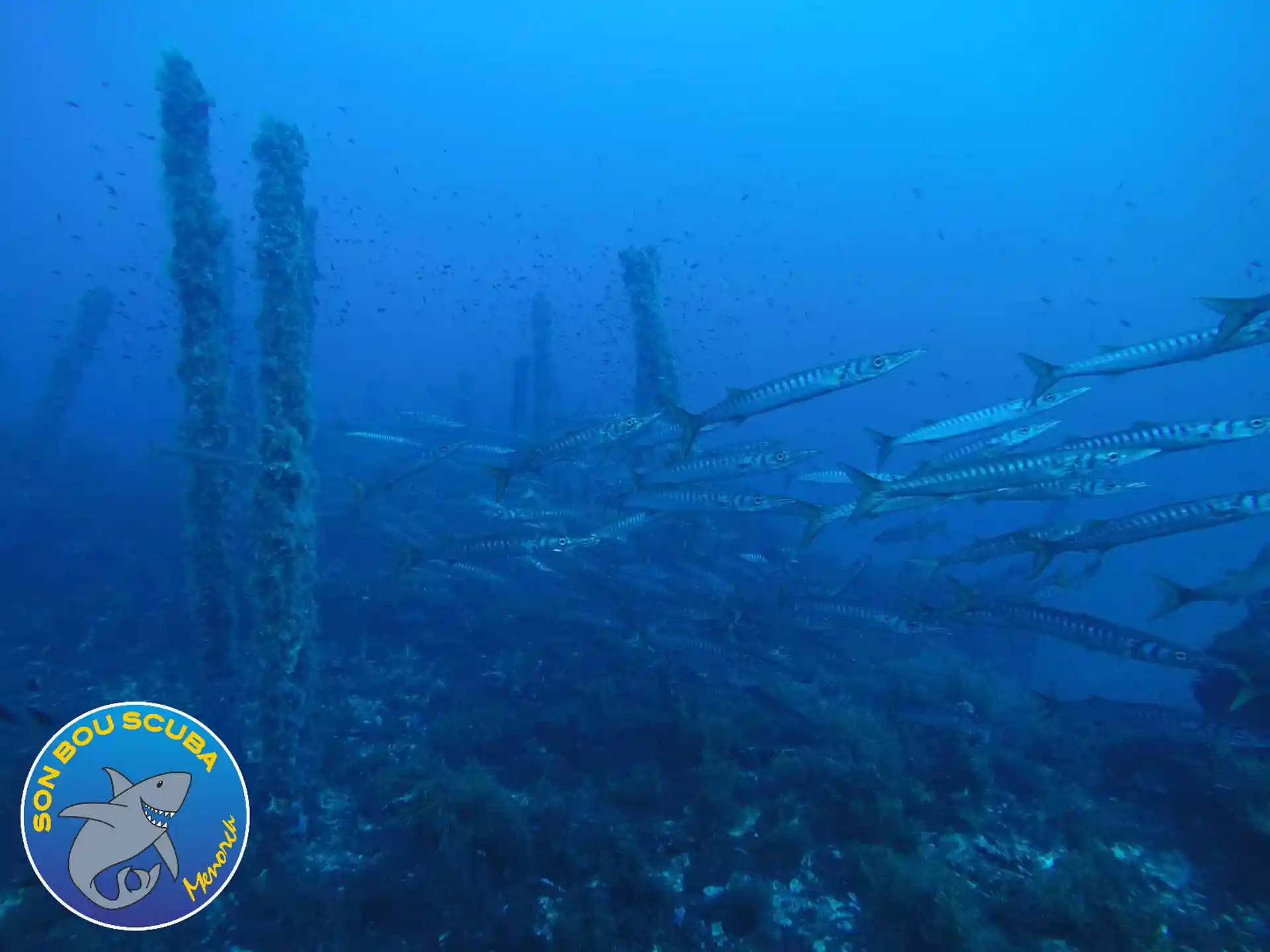 Dive site photo