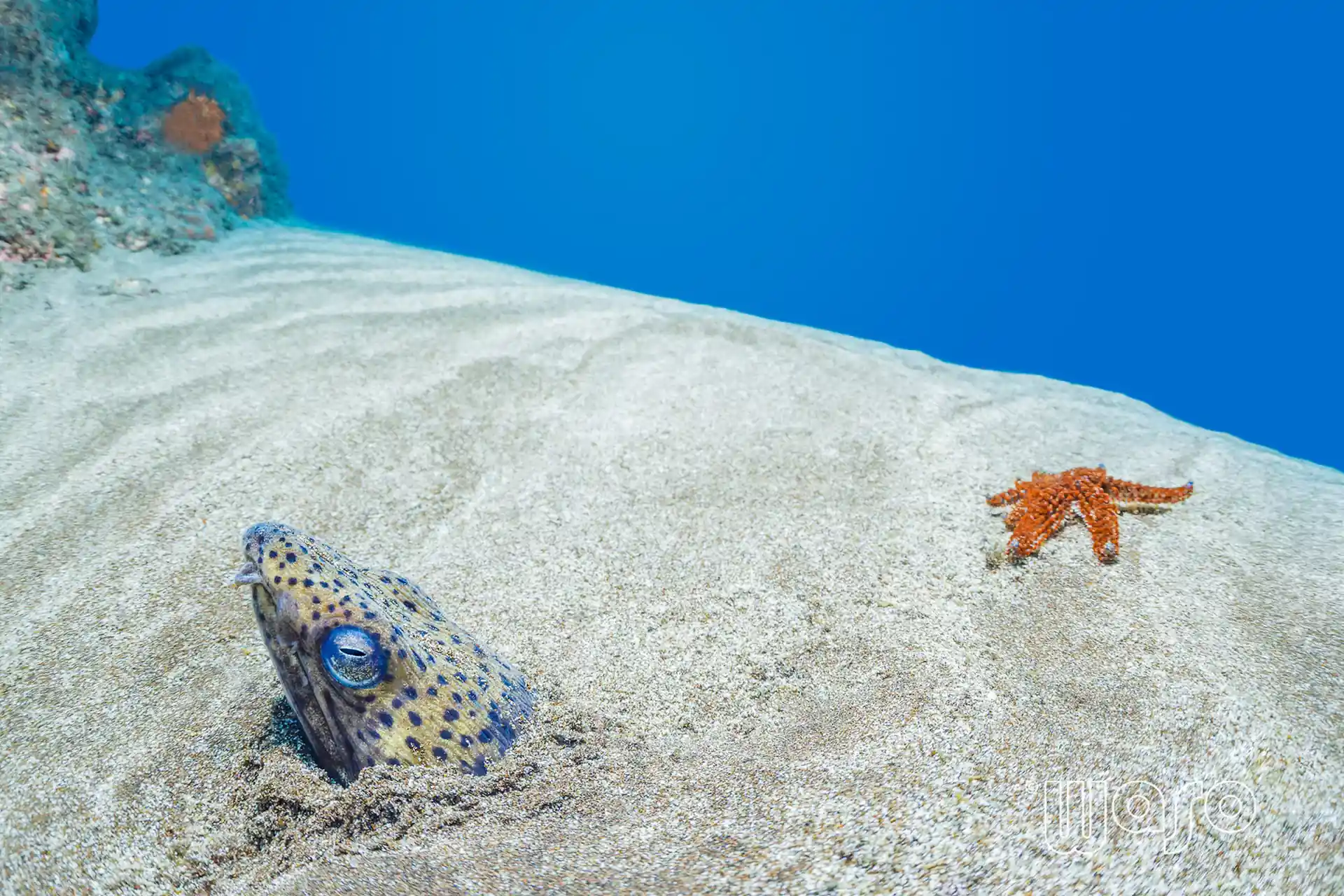 Dive site photo