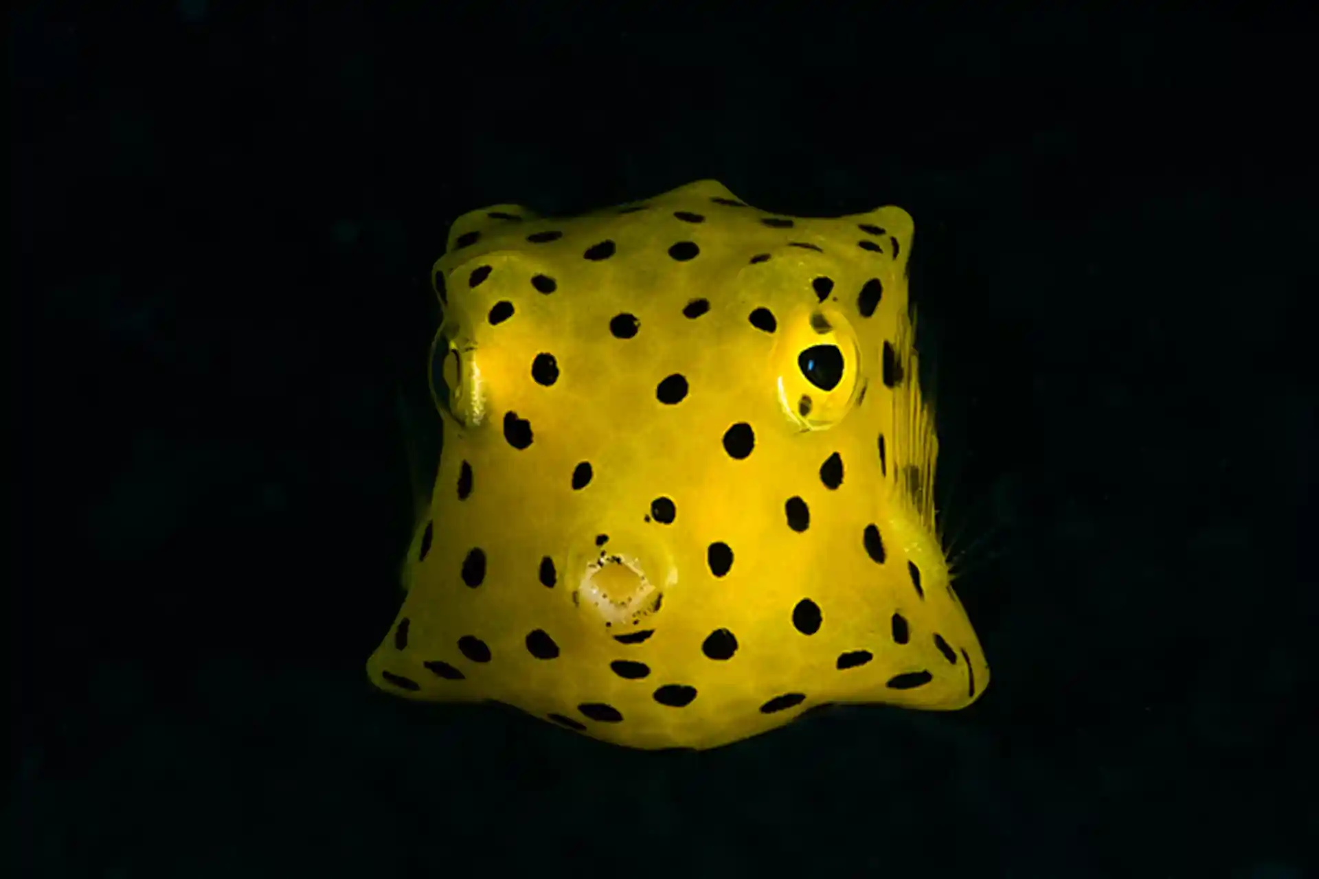 Foto des Tauchplatzes