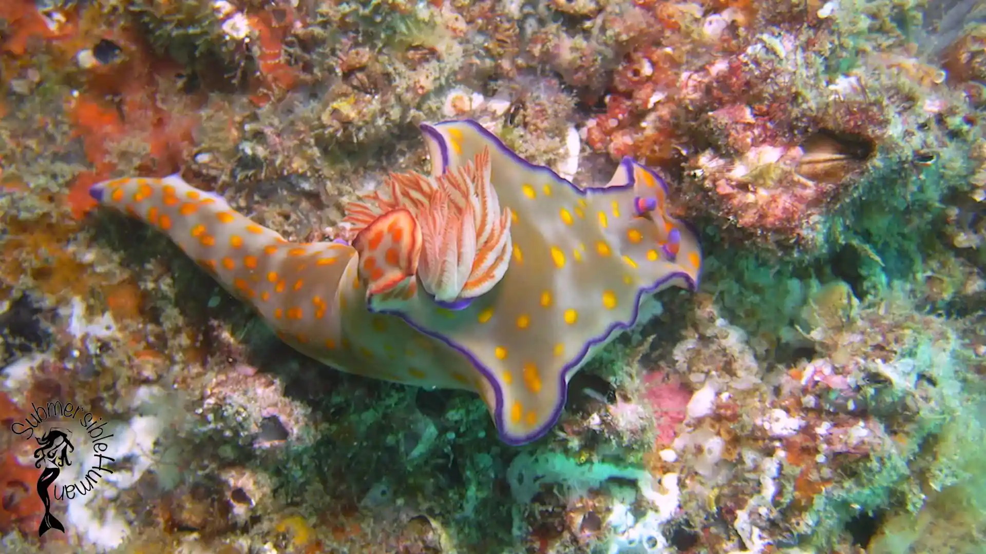 Dive site photo