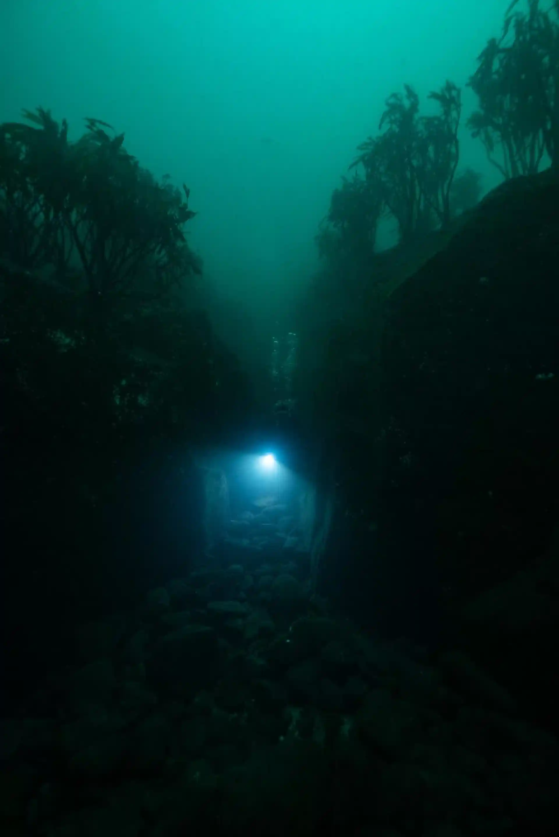 Dive site photo
