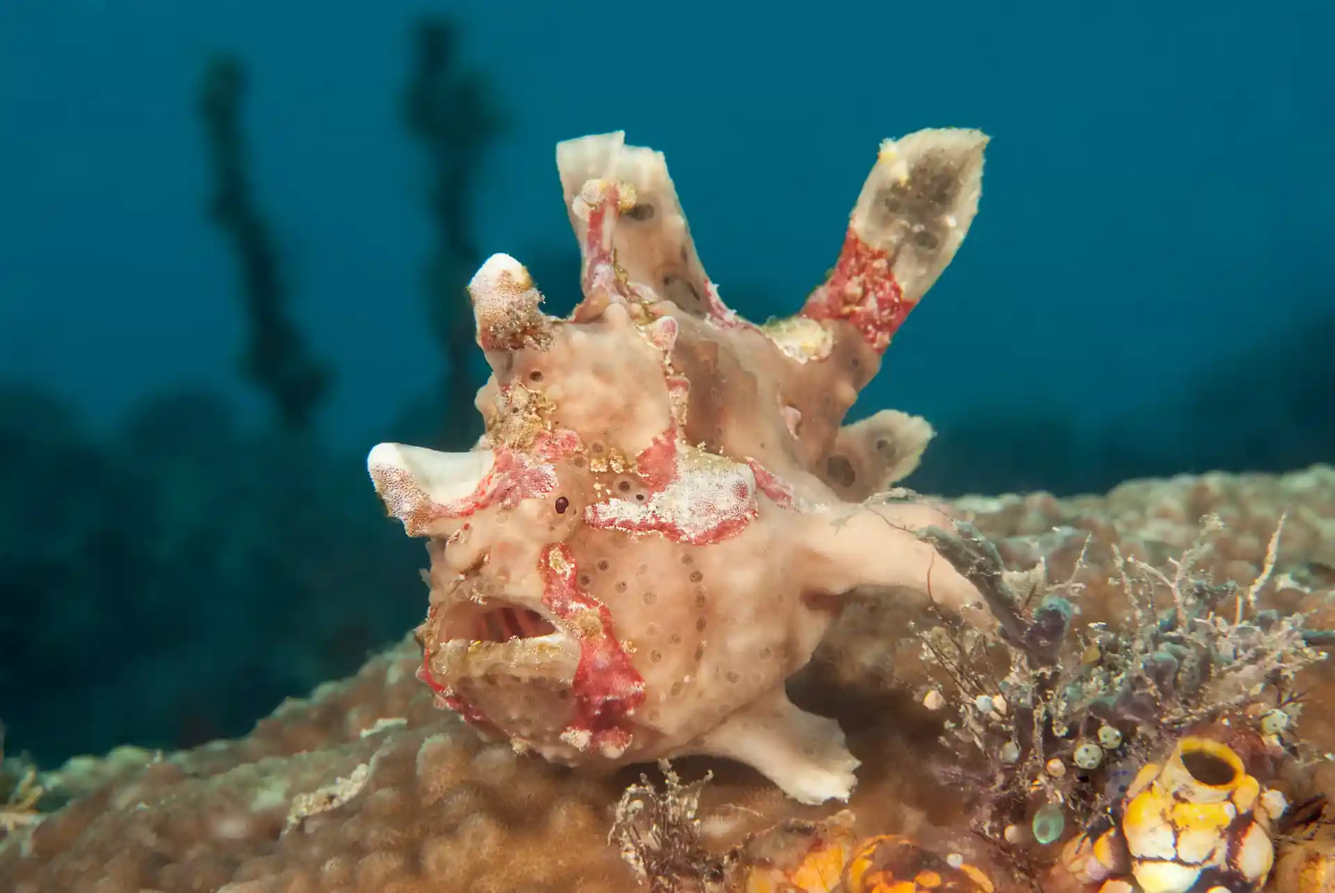 Dive shop photo