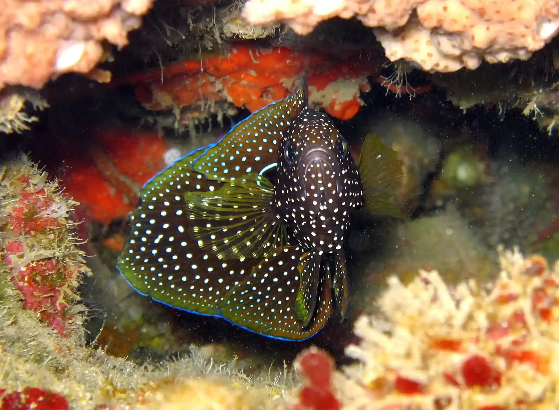 Dive site photo