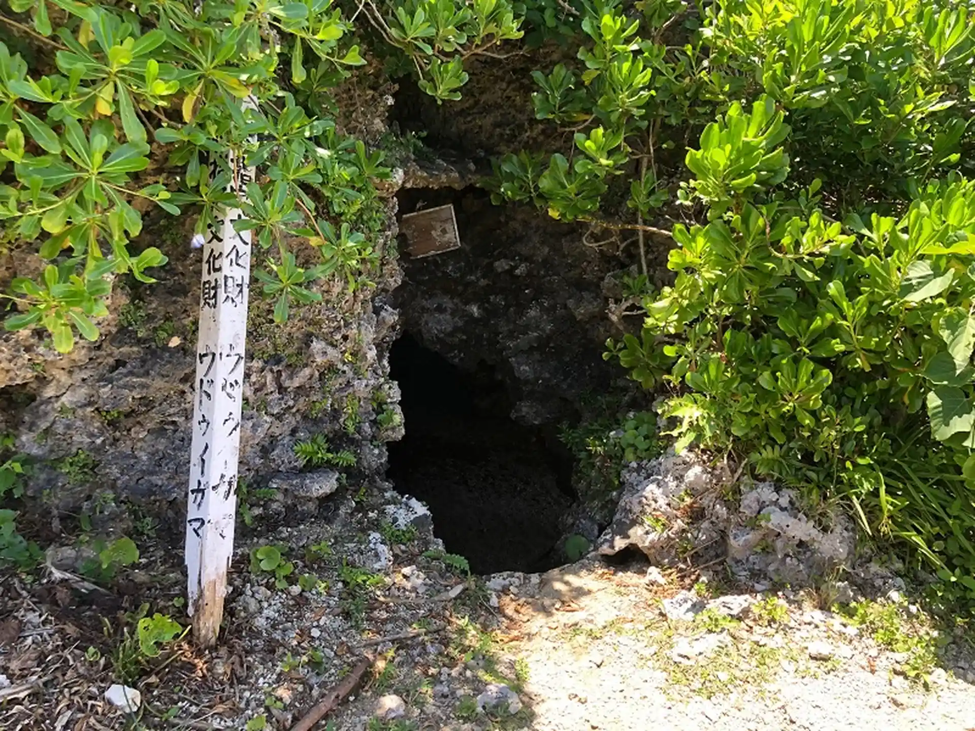 Foto des Tauchplatzes