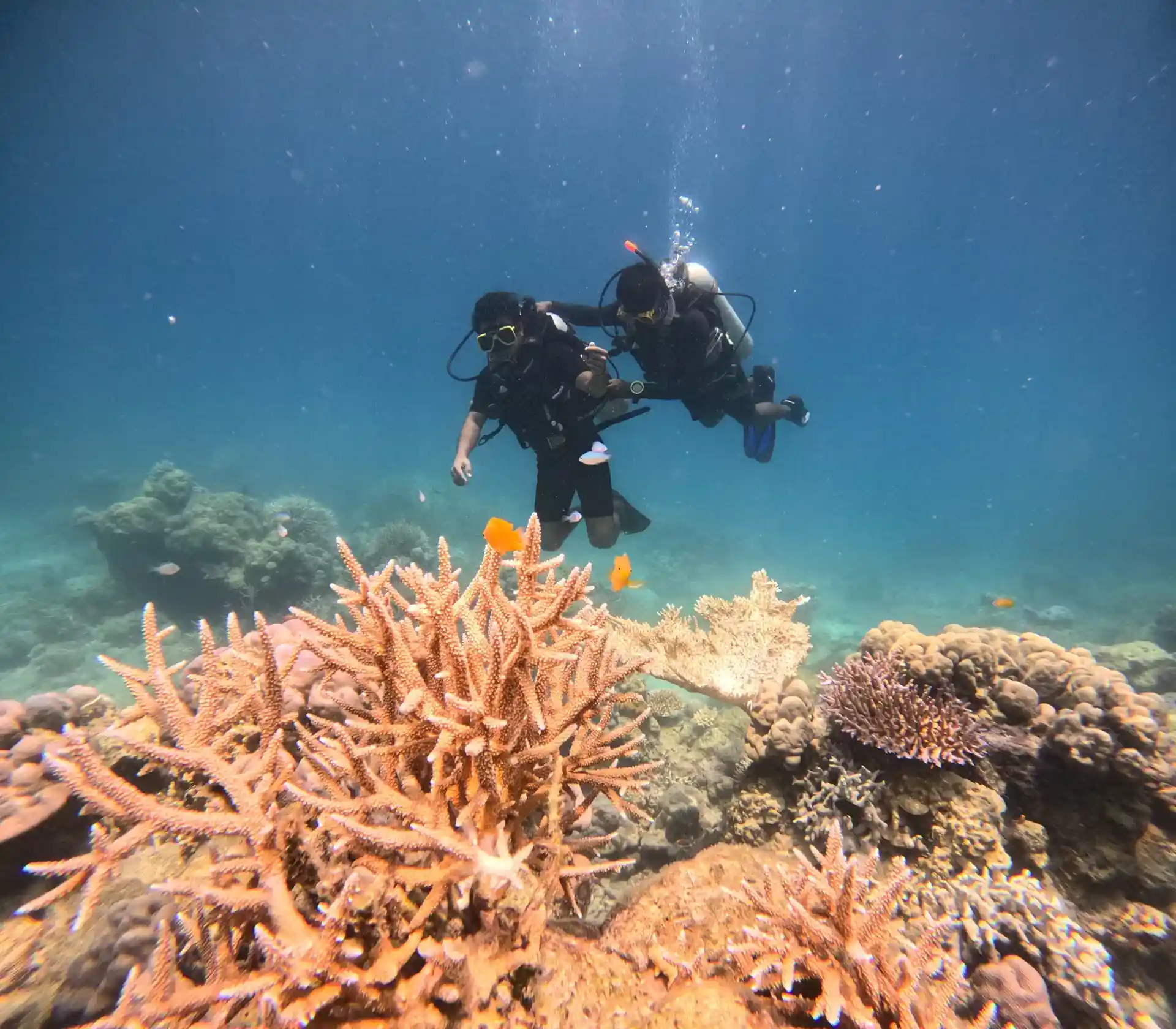 Dive site photo