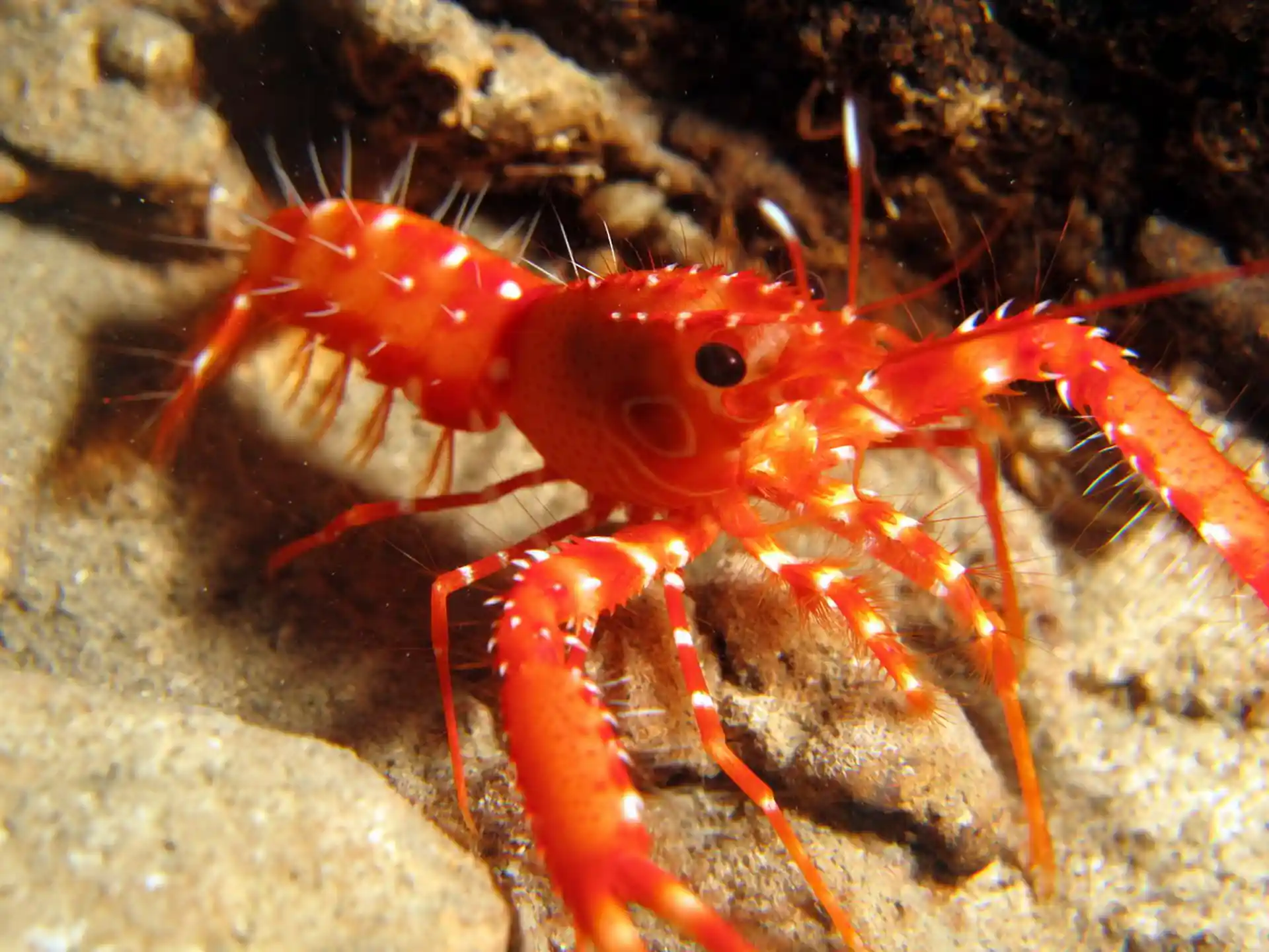 Foto van de duiklocatie