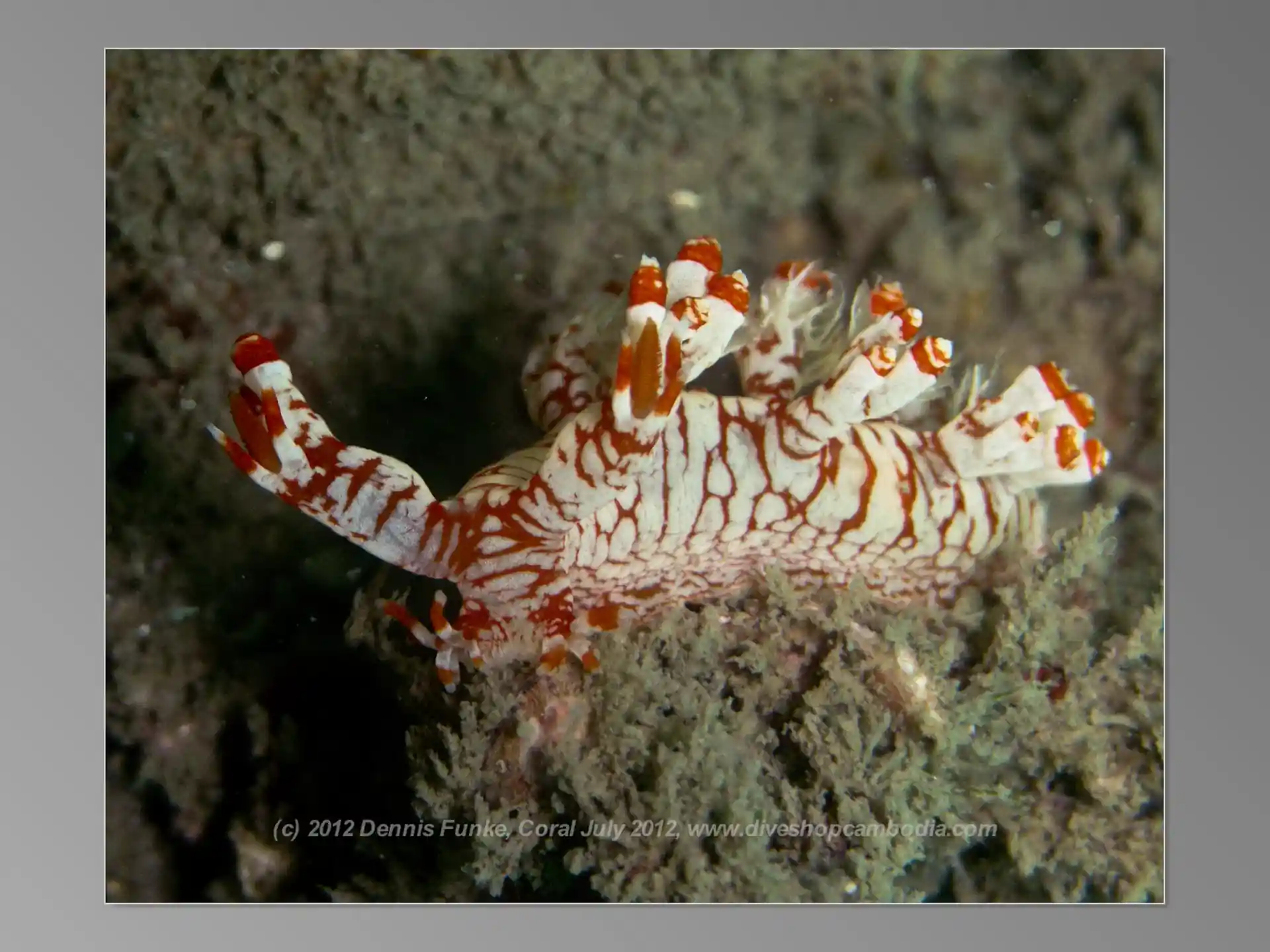 다이빙 포인트 사진