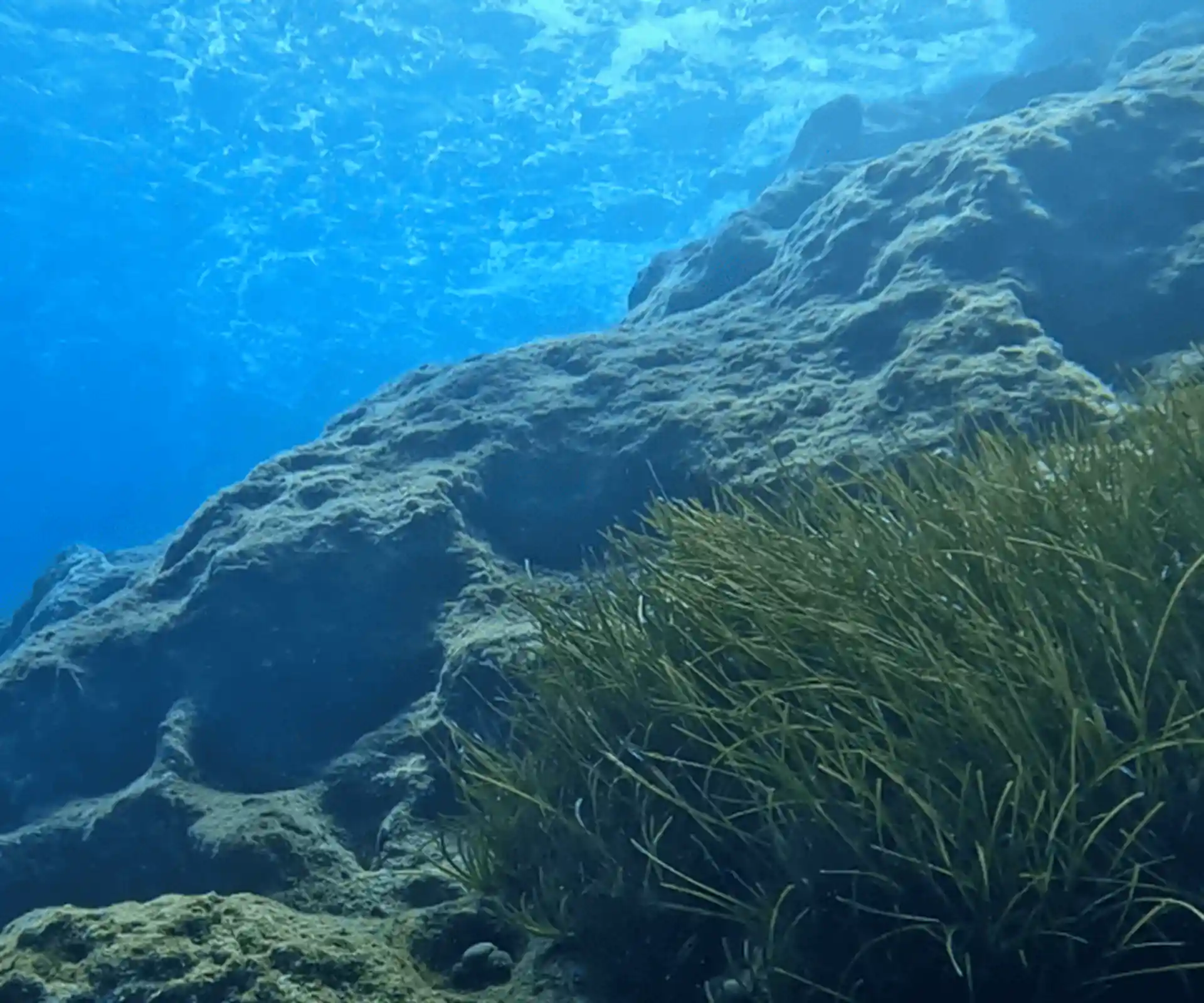 Dive site photo