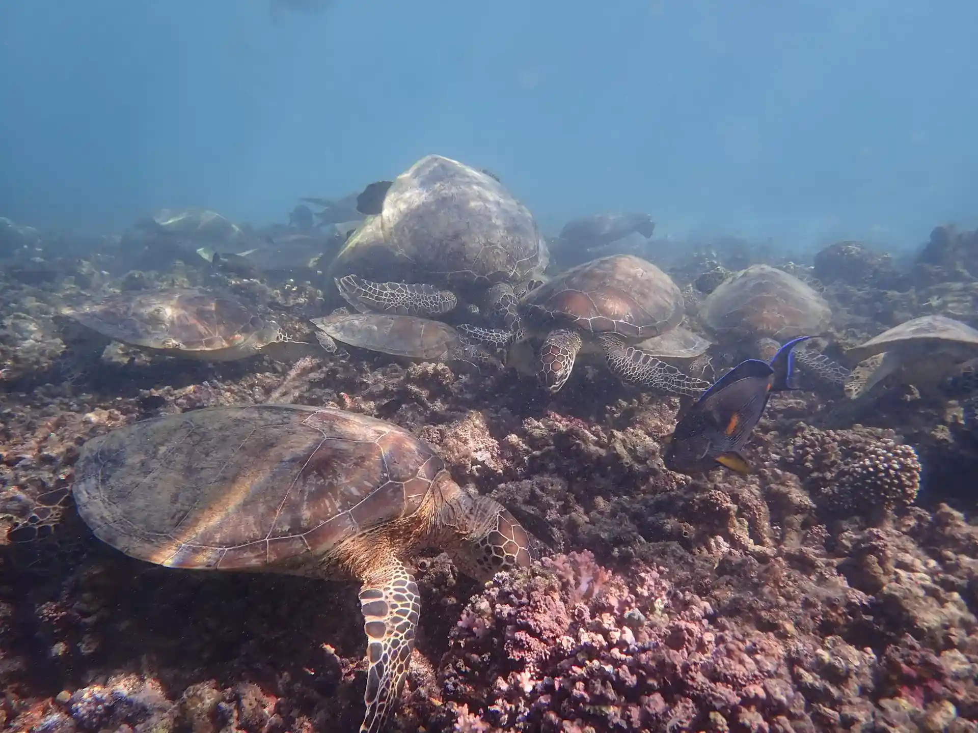 다이빙 포인트 사진