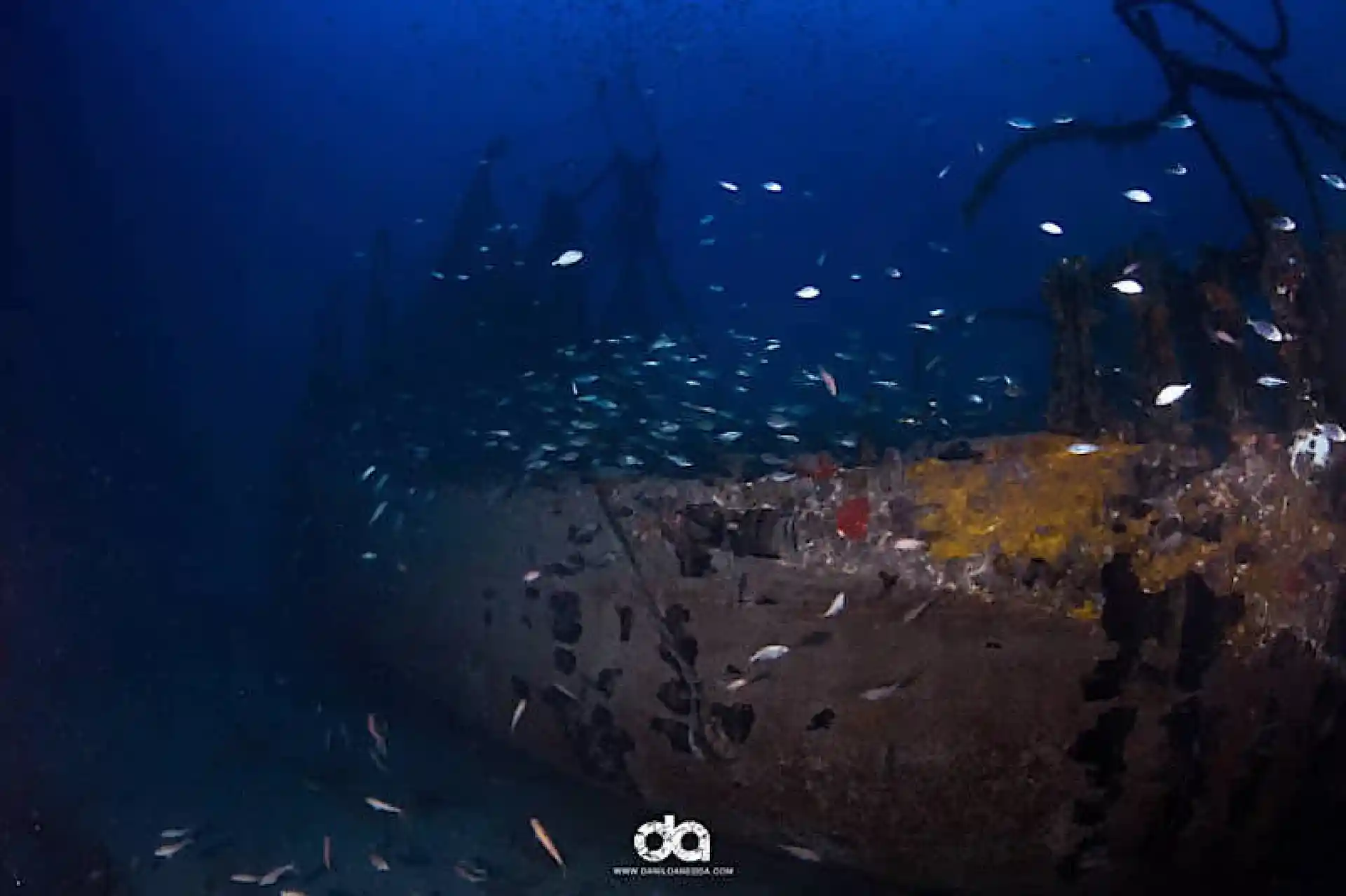 Dive site photo