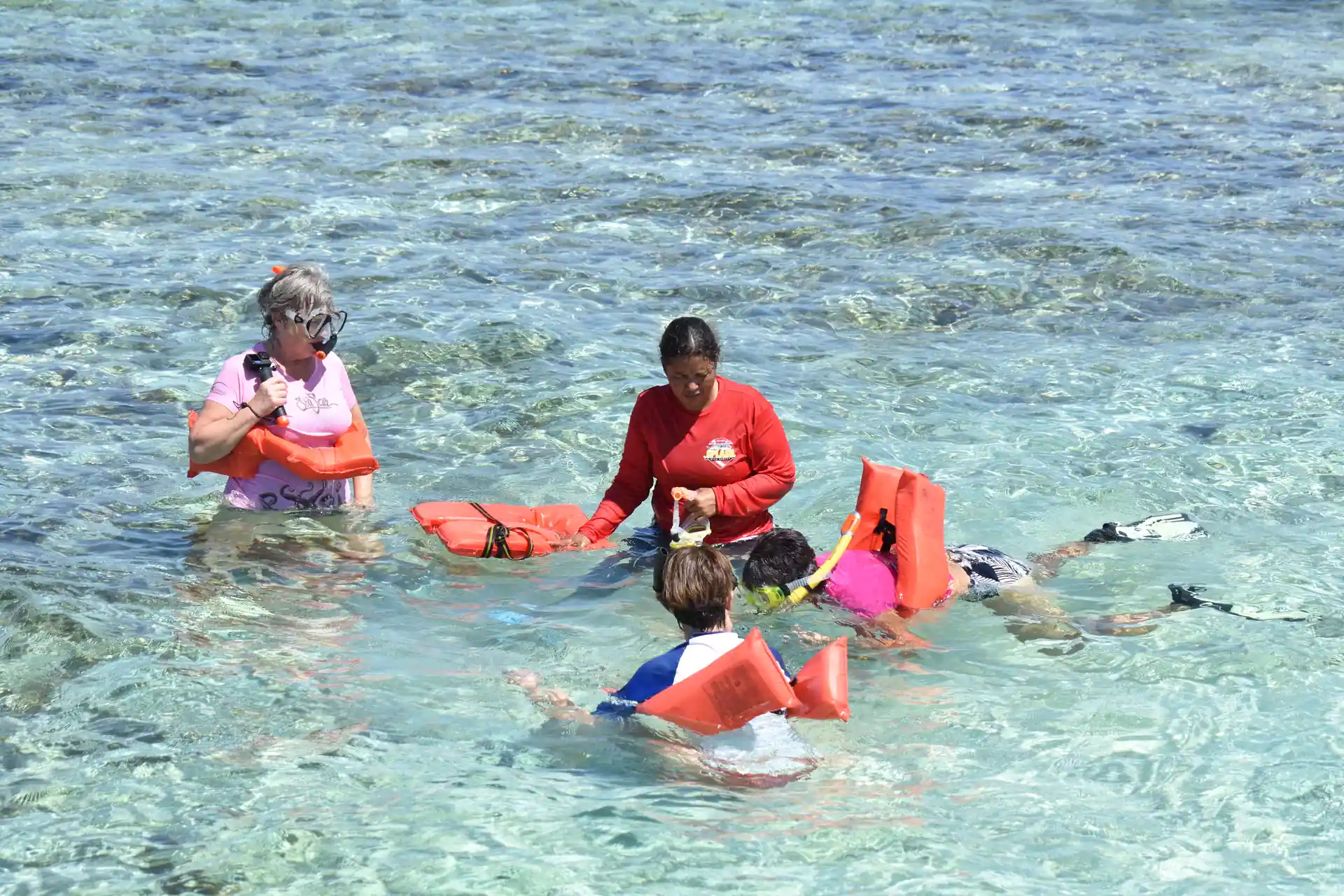 Activity photo