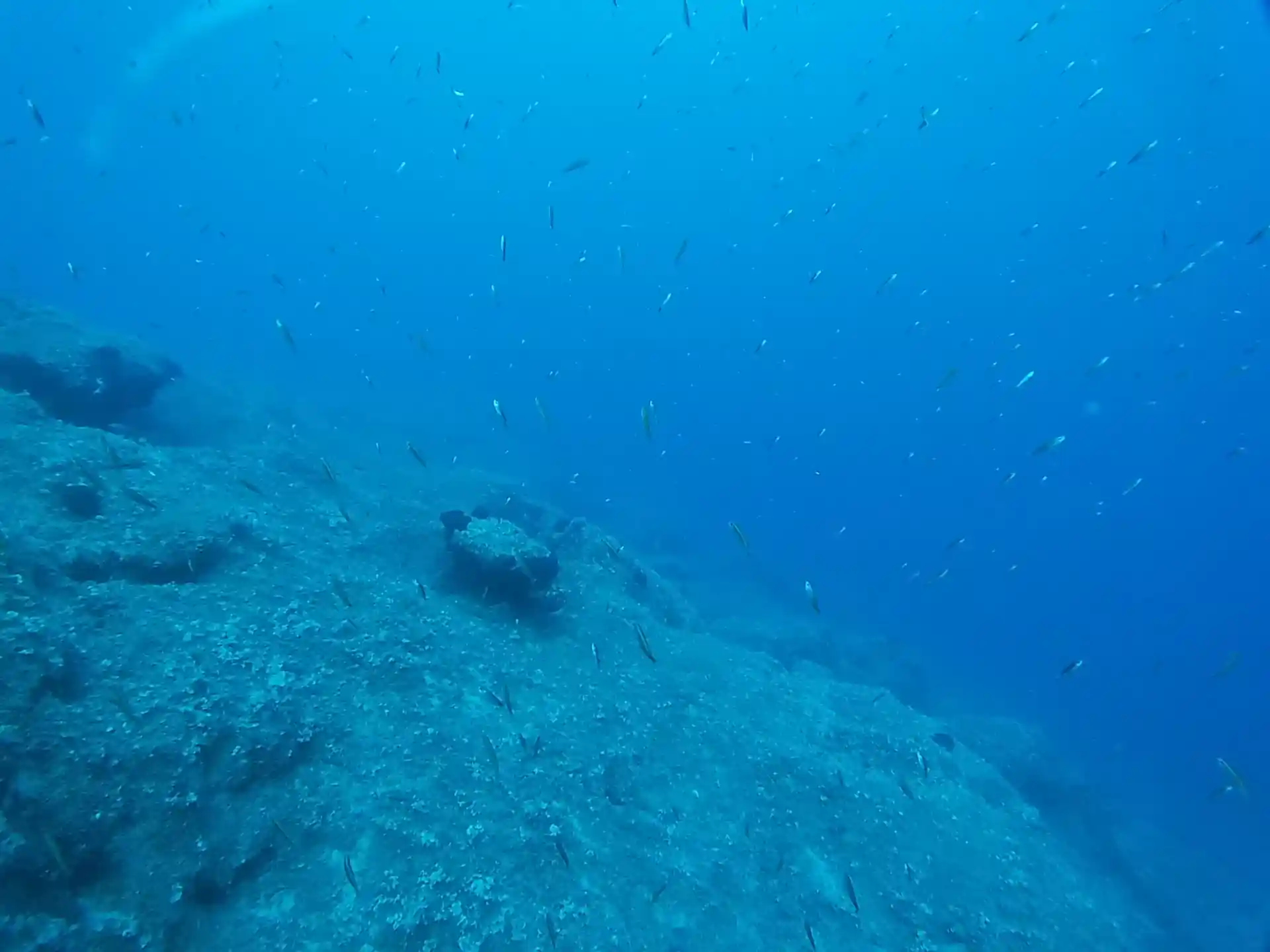 다이빙 포인트 사진