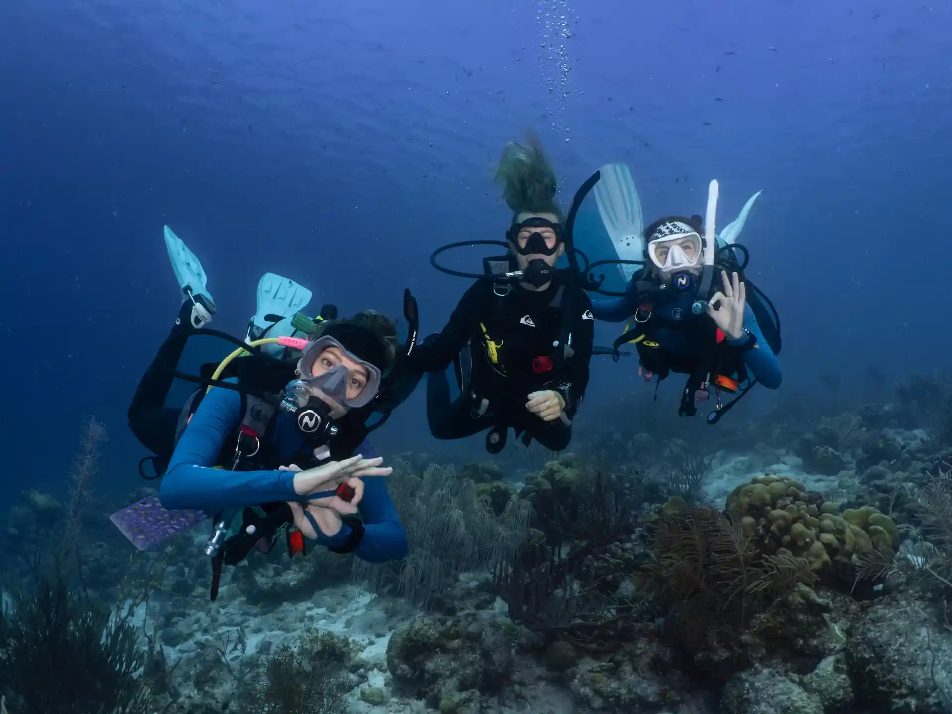 Foto de la actividad