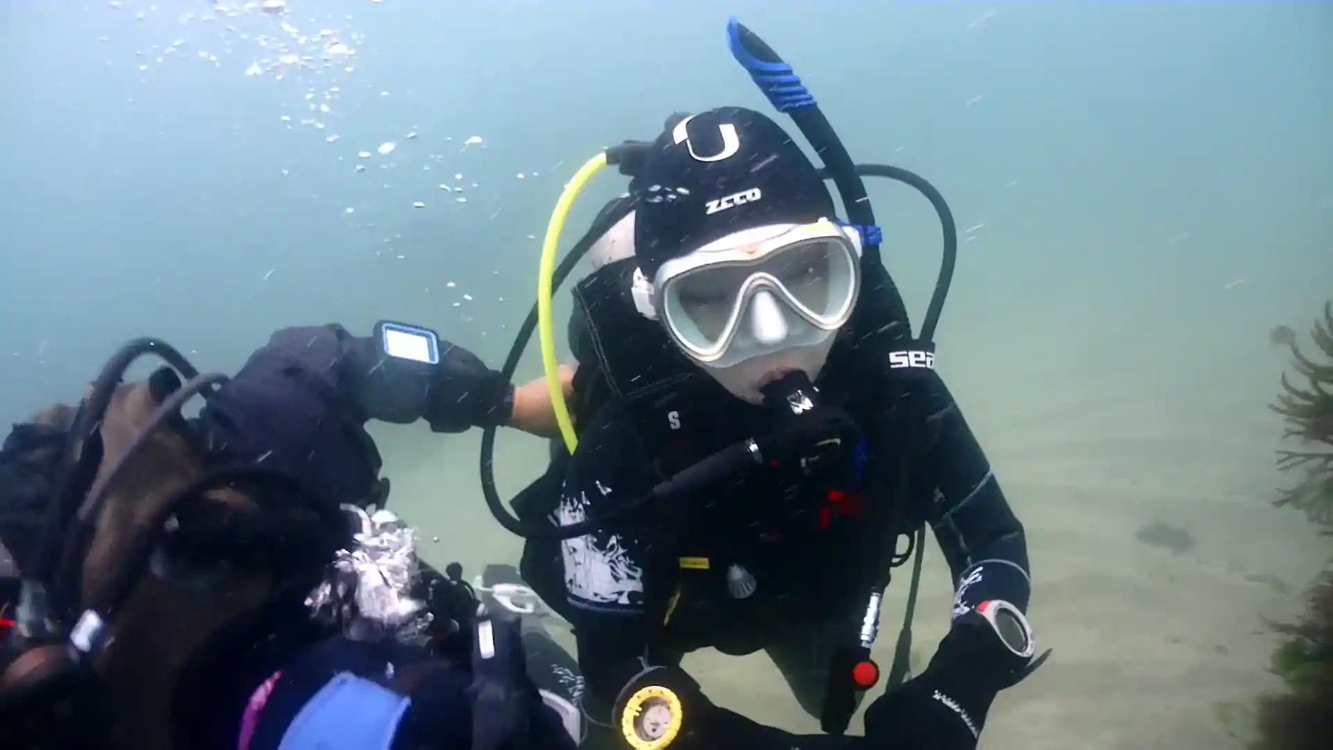 ダイビングサイトの写真