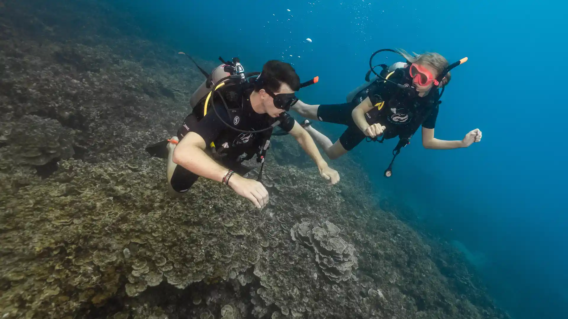 Exploring Koh Tao’s reefs together in clear tropical water.