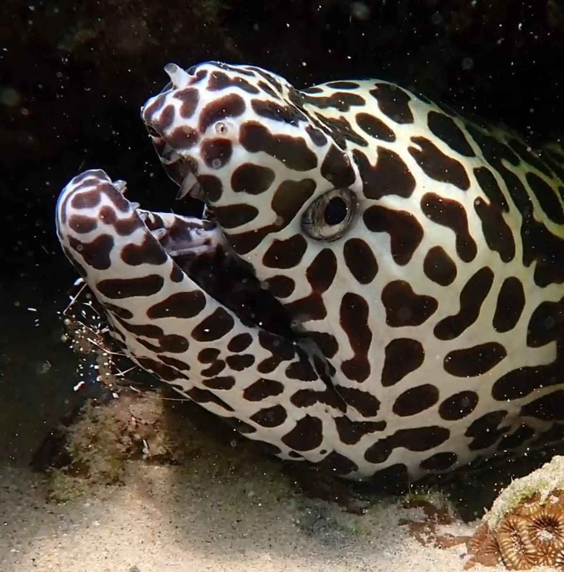 Foto des Tauchplatzes