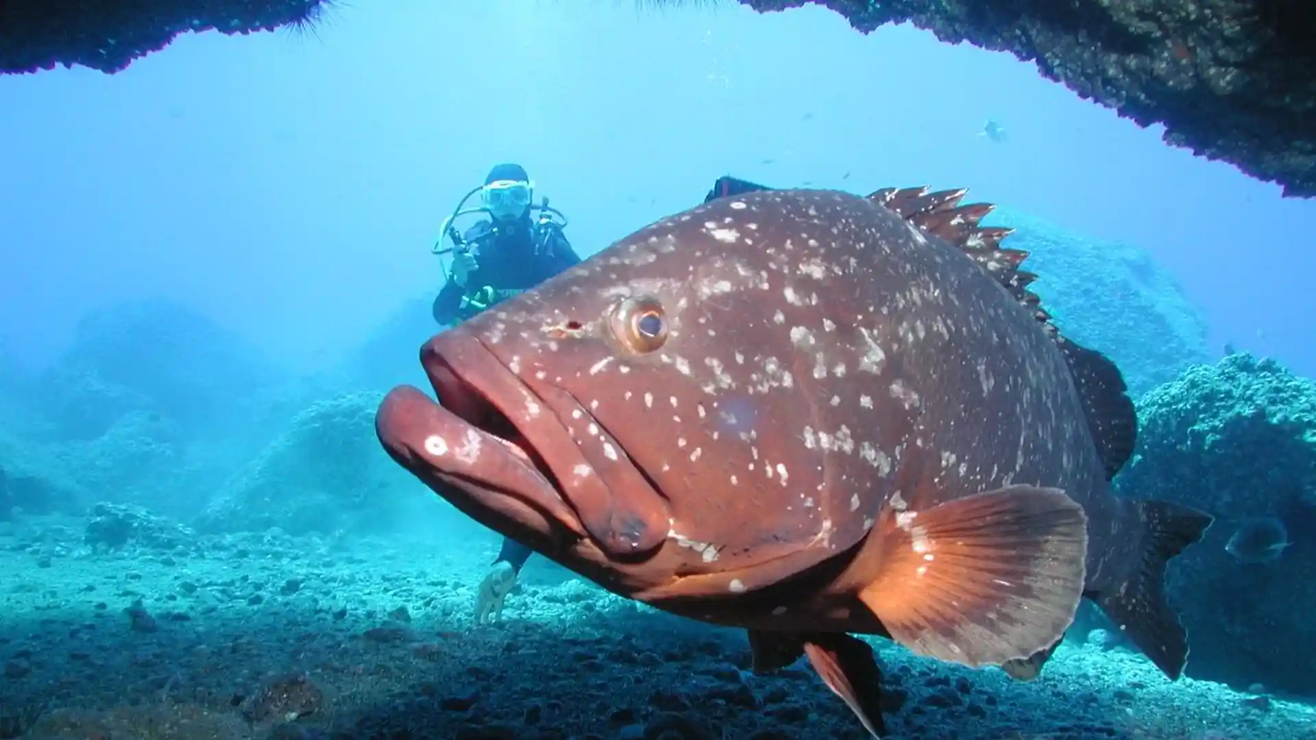 Dive site photo