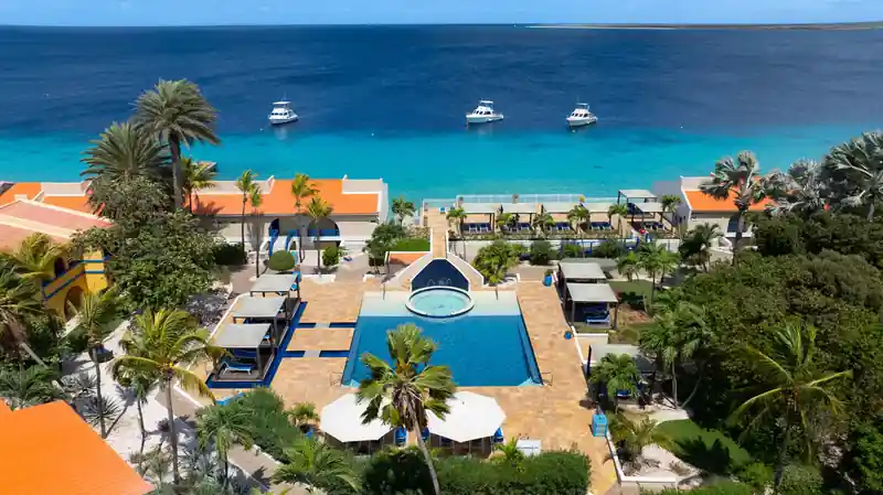 Dive operator picture