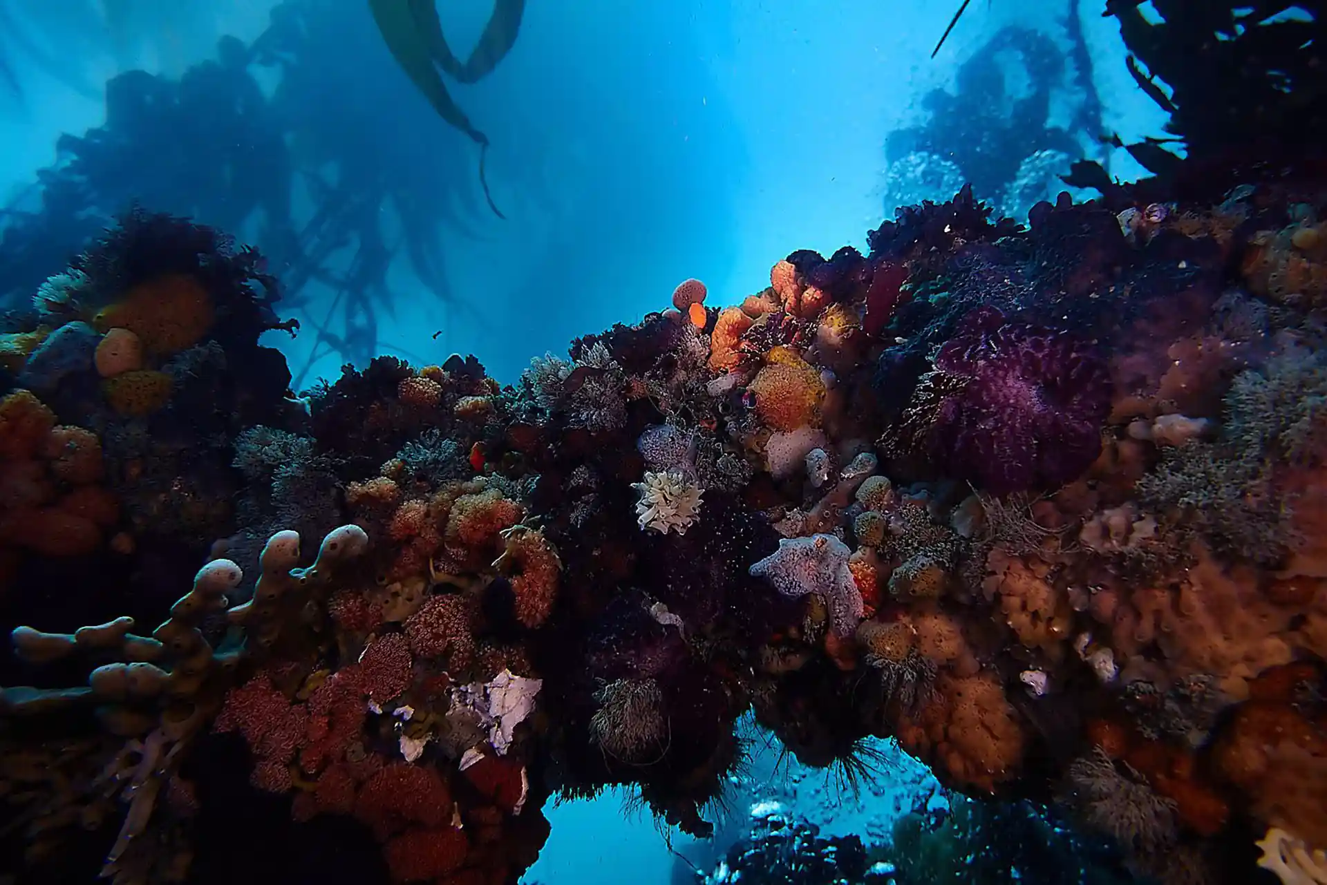 Dive site photo