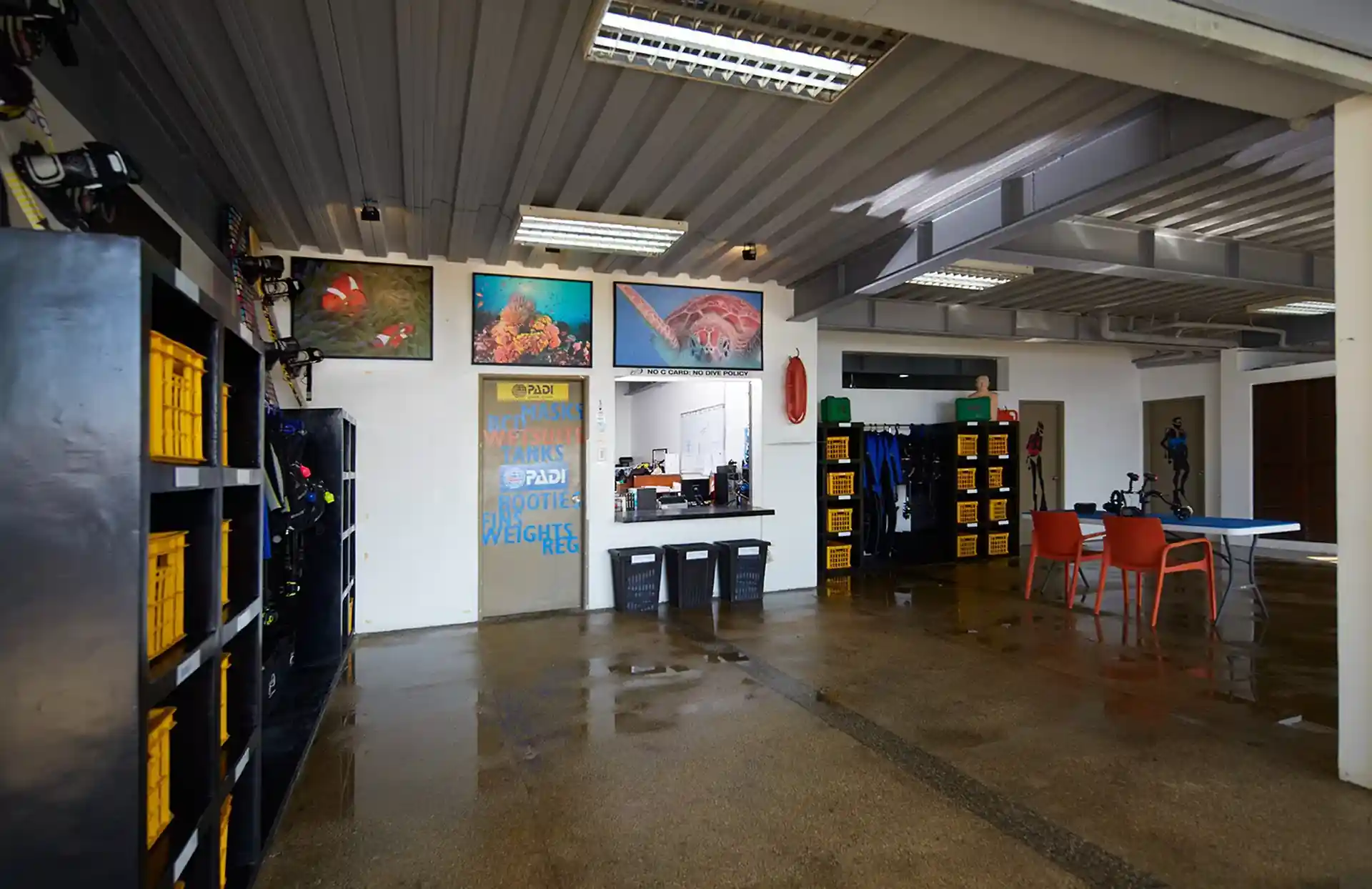 Dive shop photo