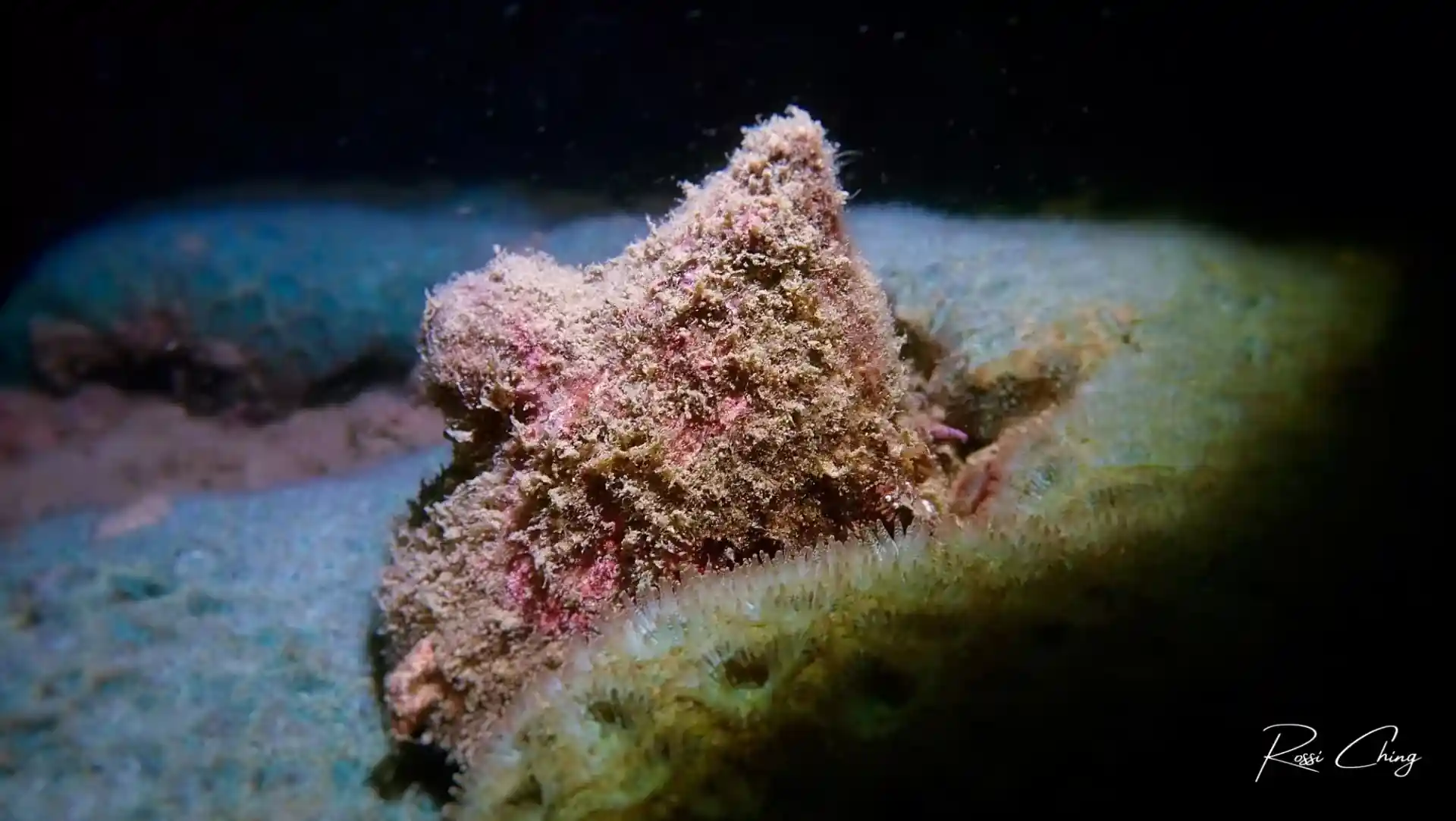 Foto des Tauchplatzes