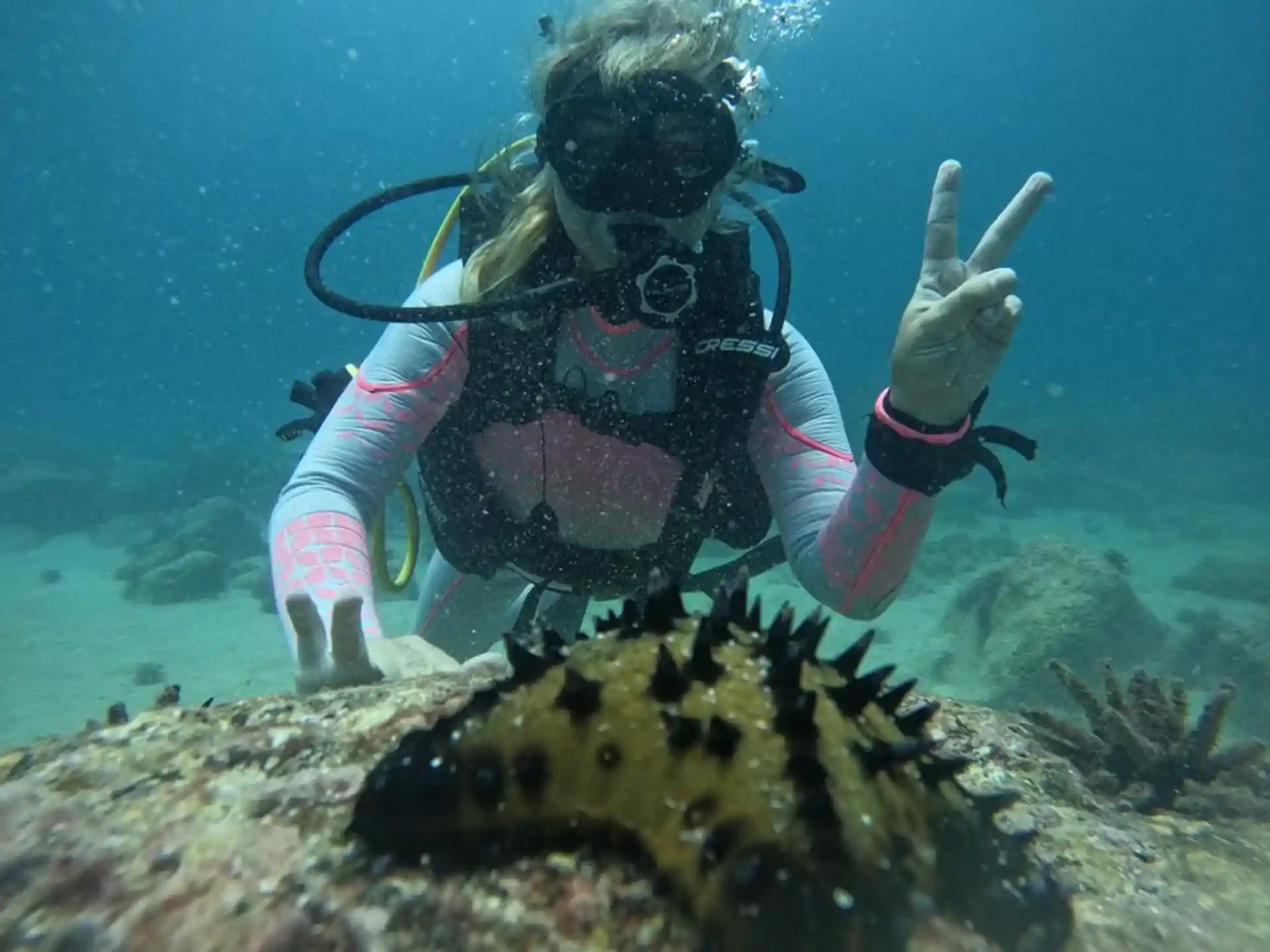 Dive site photo