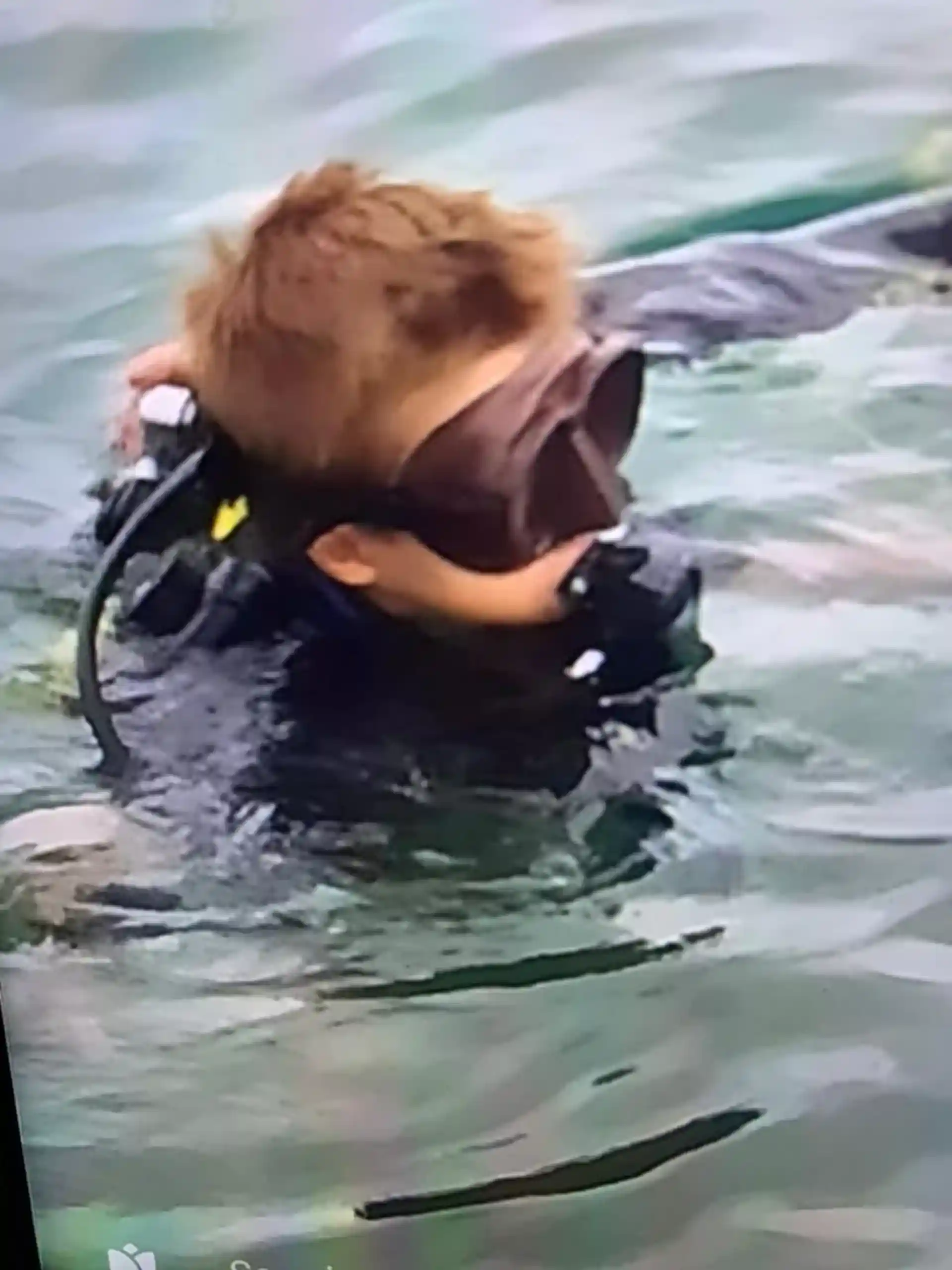 Dive shop photo