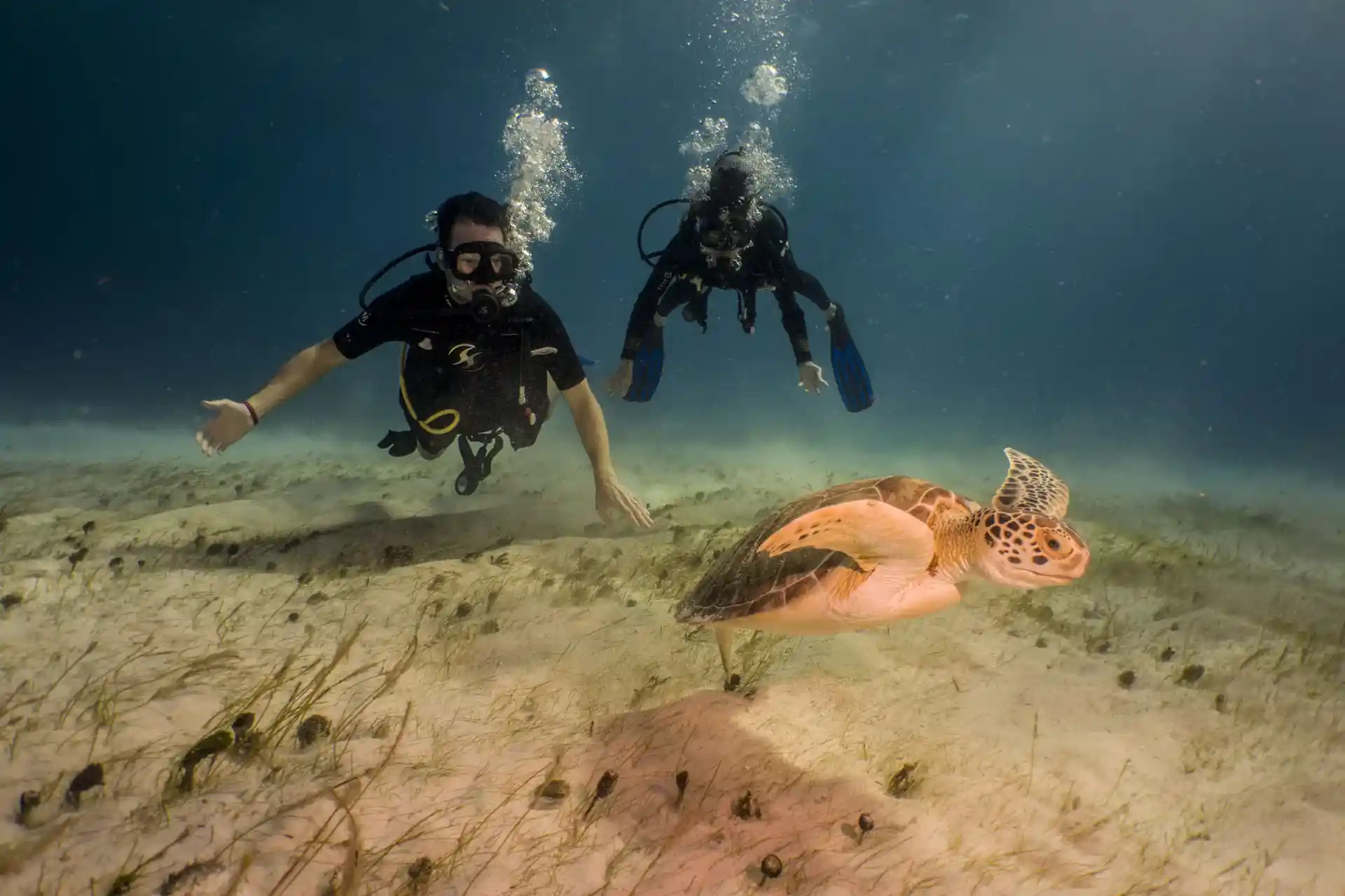 ダイビングサイトの写真