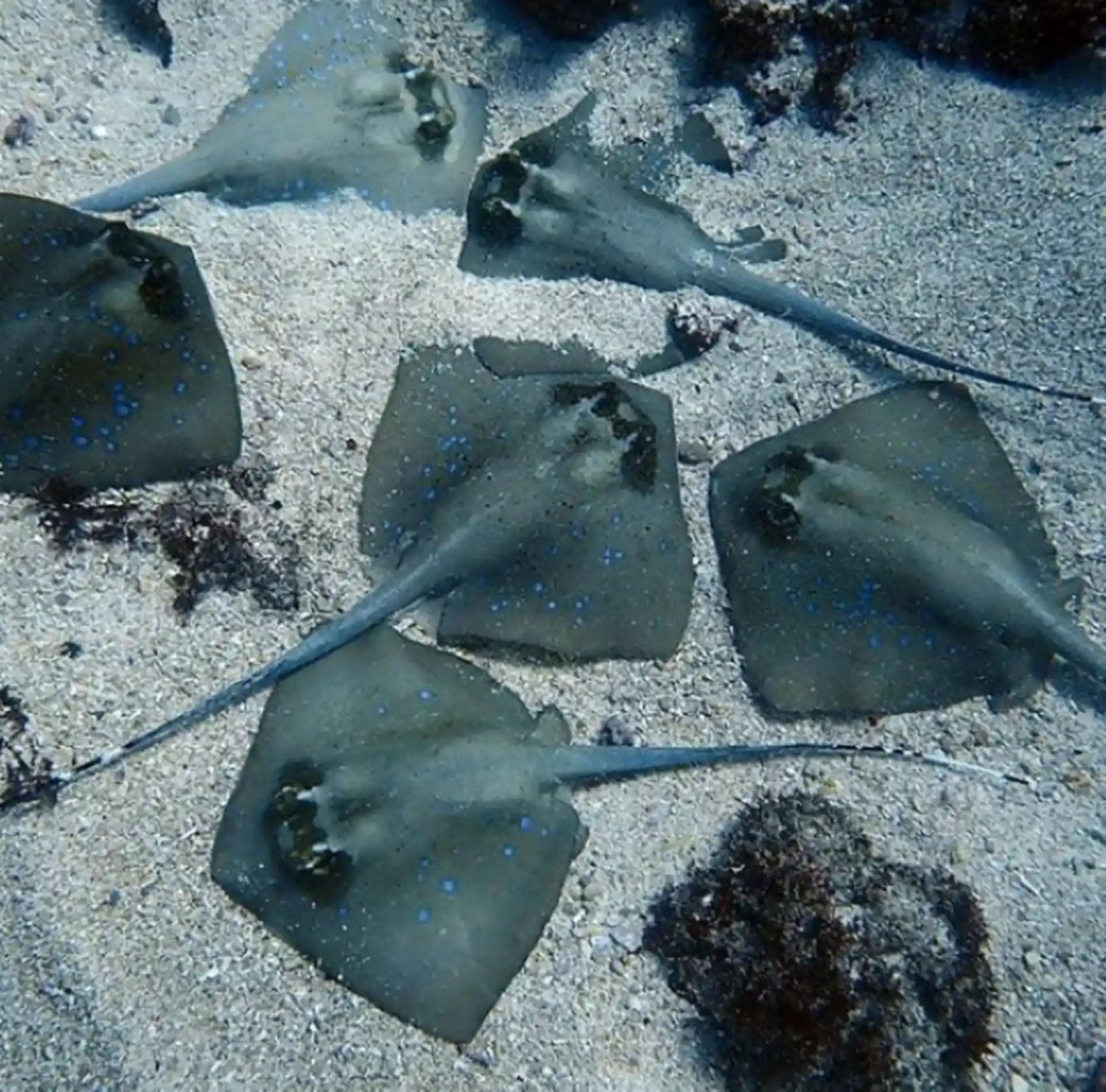 Dive shop photo