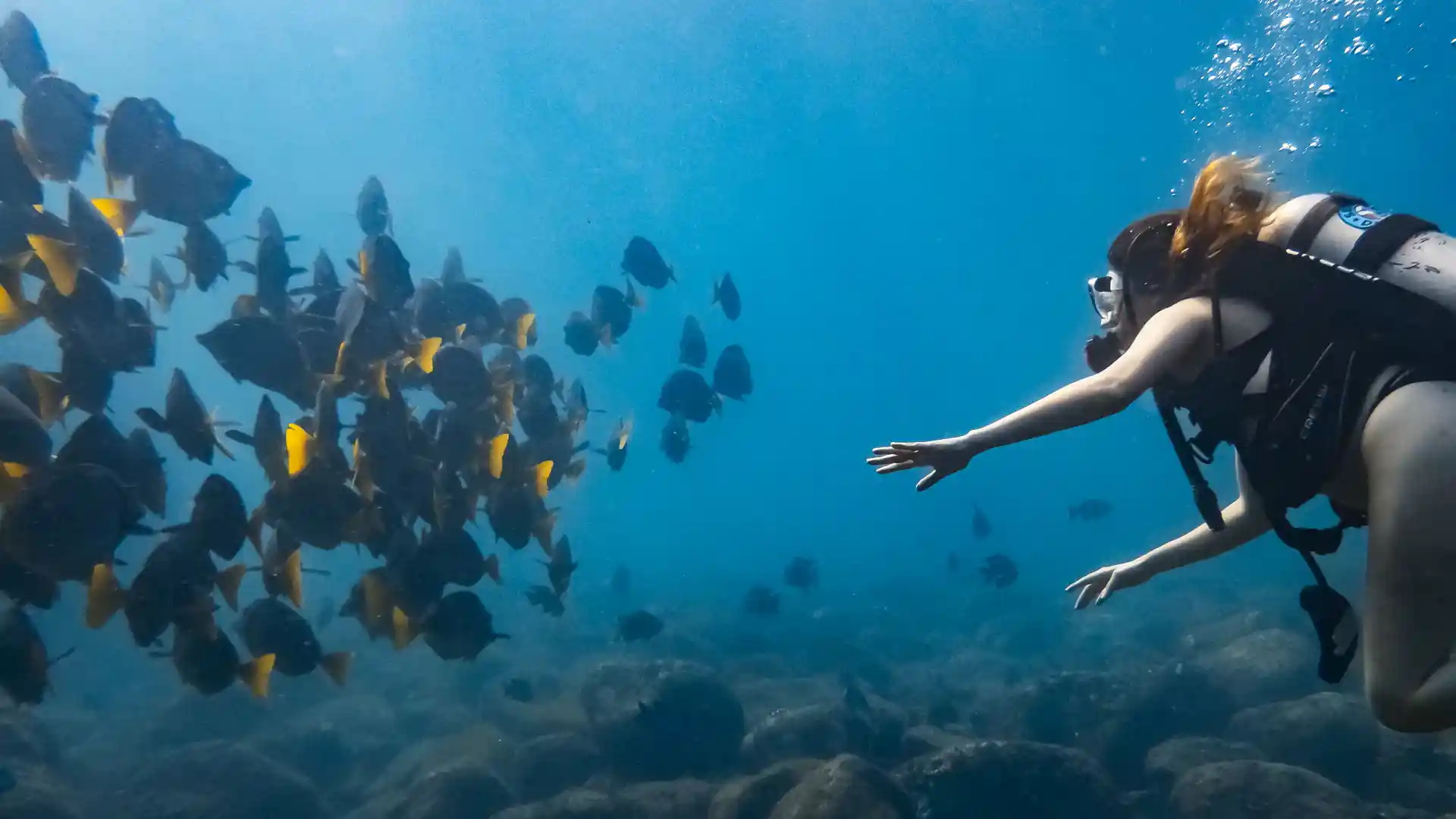 Dive shop photo